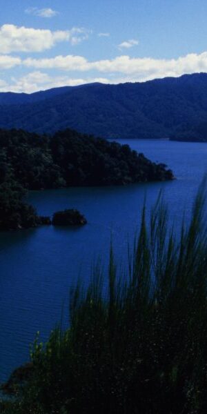 Bay of Islands, North Island, New Zealand, Oceania