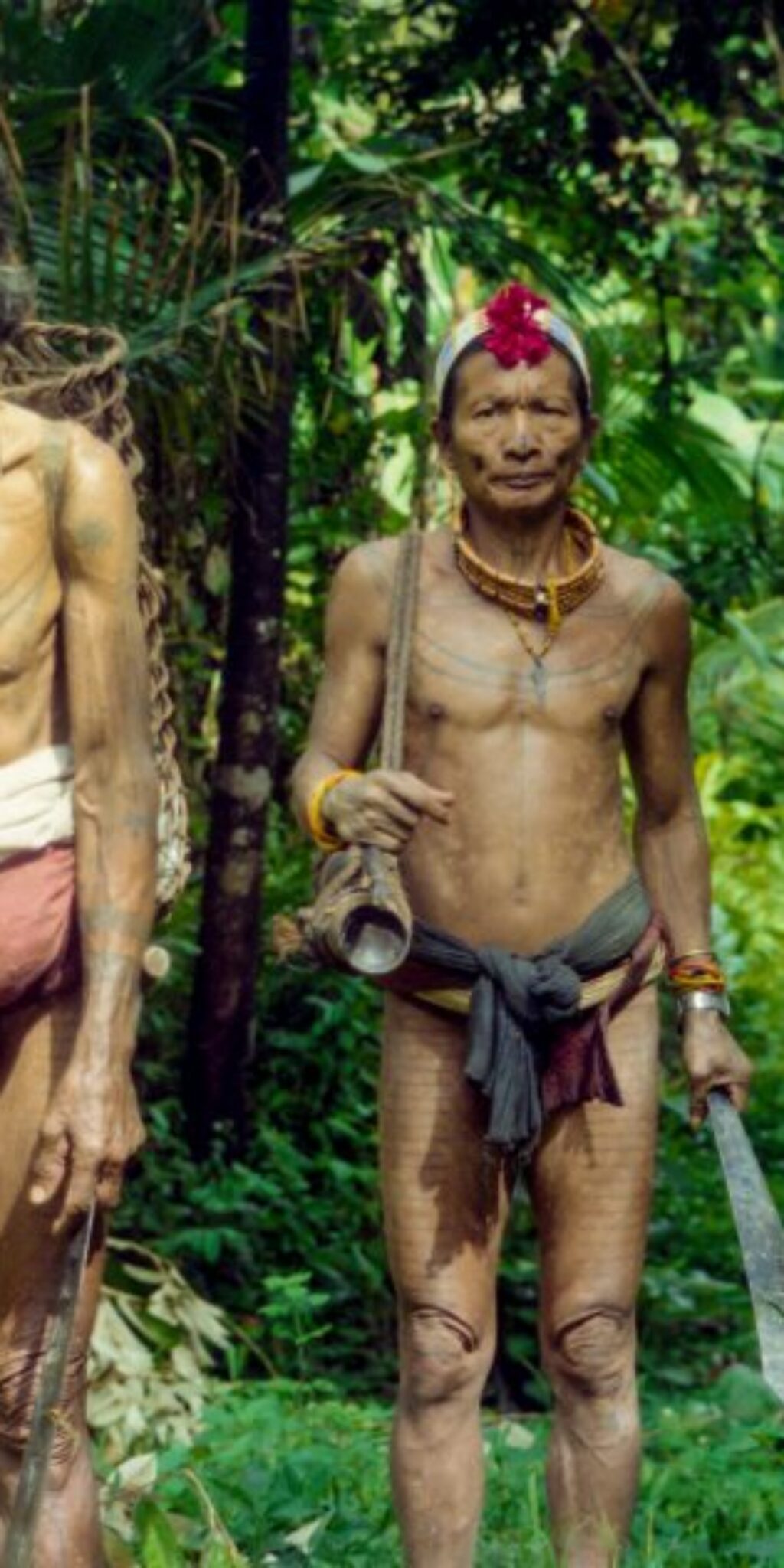 Siberut Island, Sumatra, Indonesia, Asia