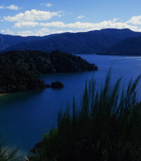 Bay of Islands, North Island, New Zealand, Oceania