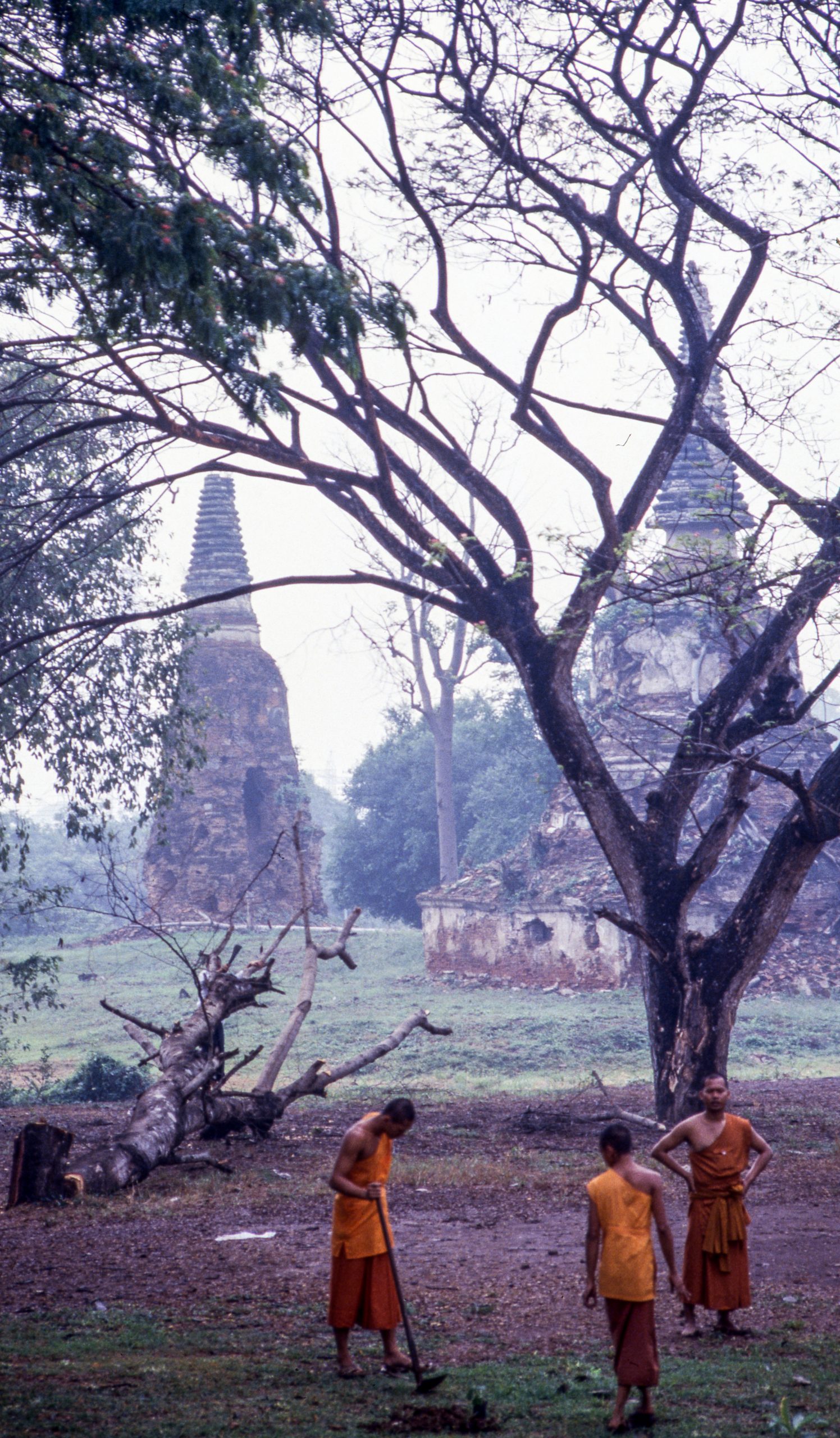 Buddhists, Thailand, Asia