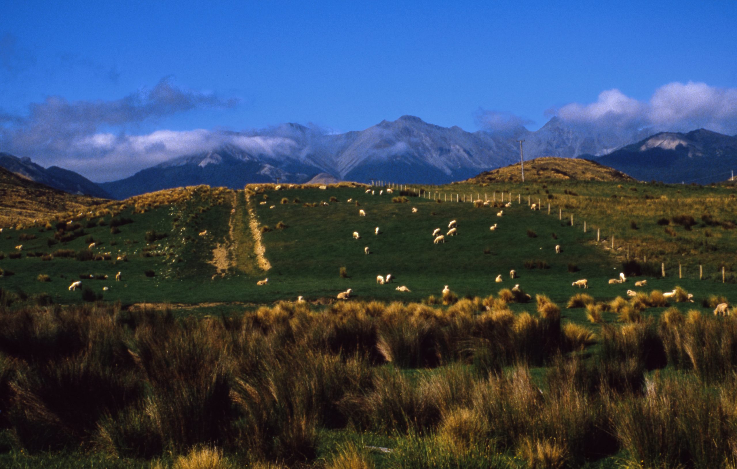 South Island, New Zealand, Oceania
