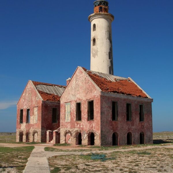 Decay - Klein Curacao Decay - Klein Curacao