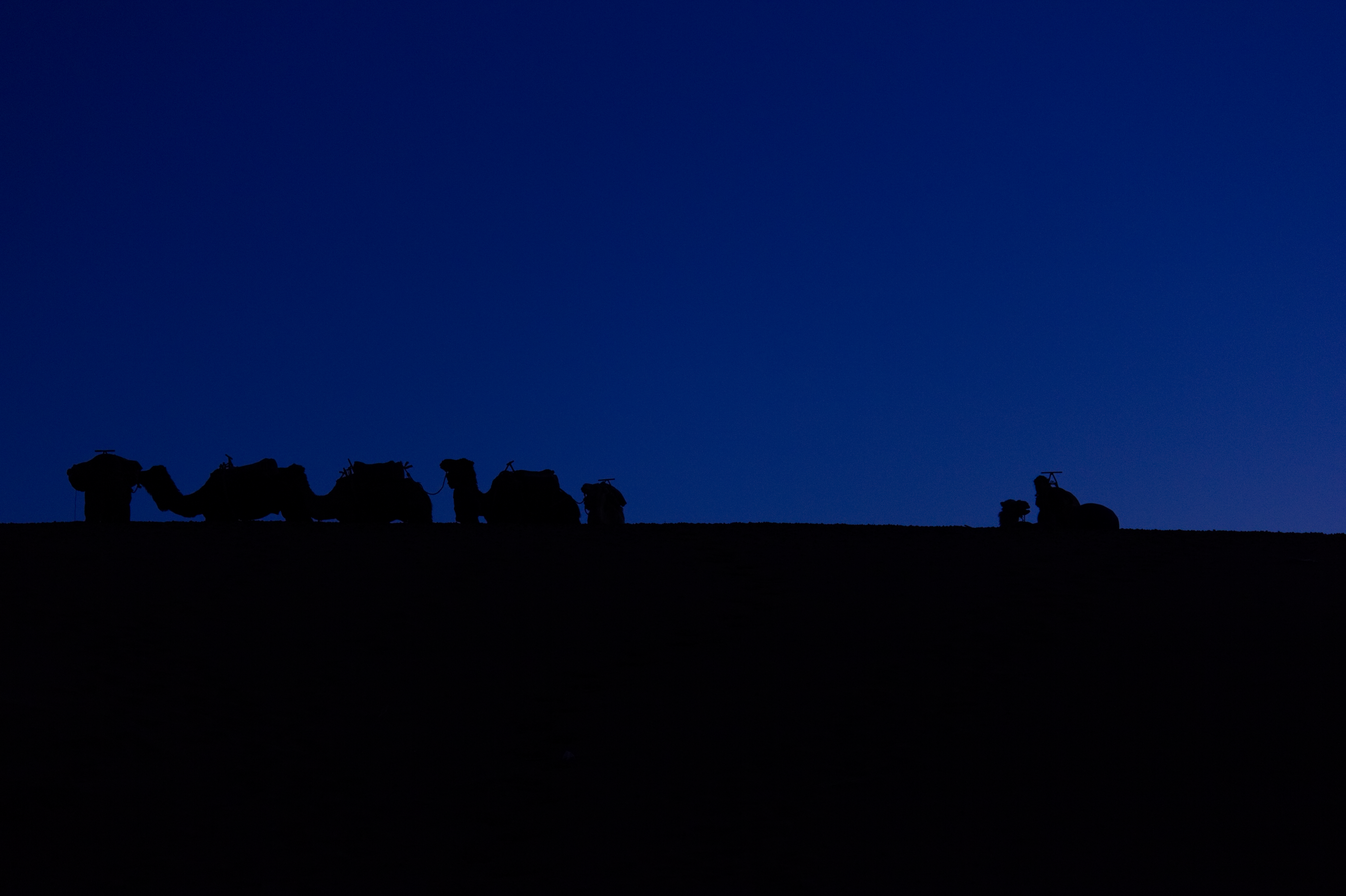 Western Sahara, Morocco