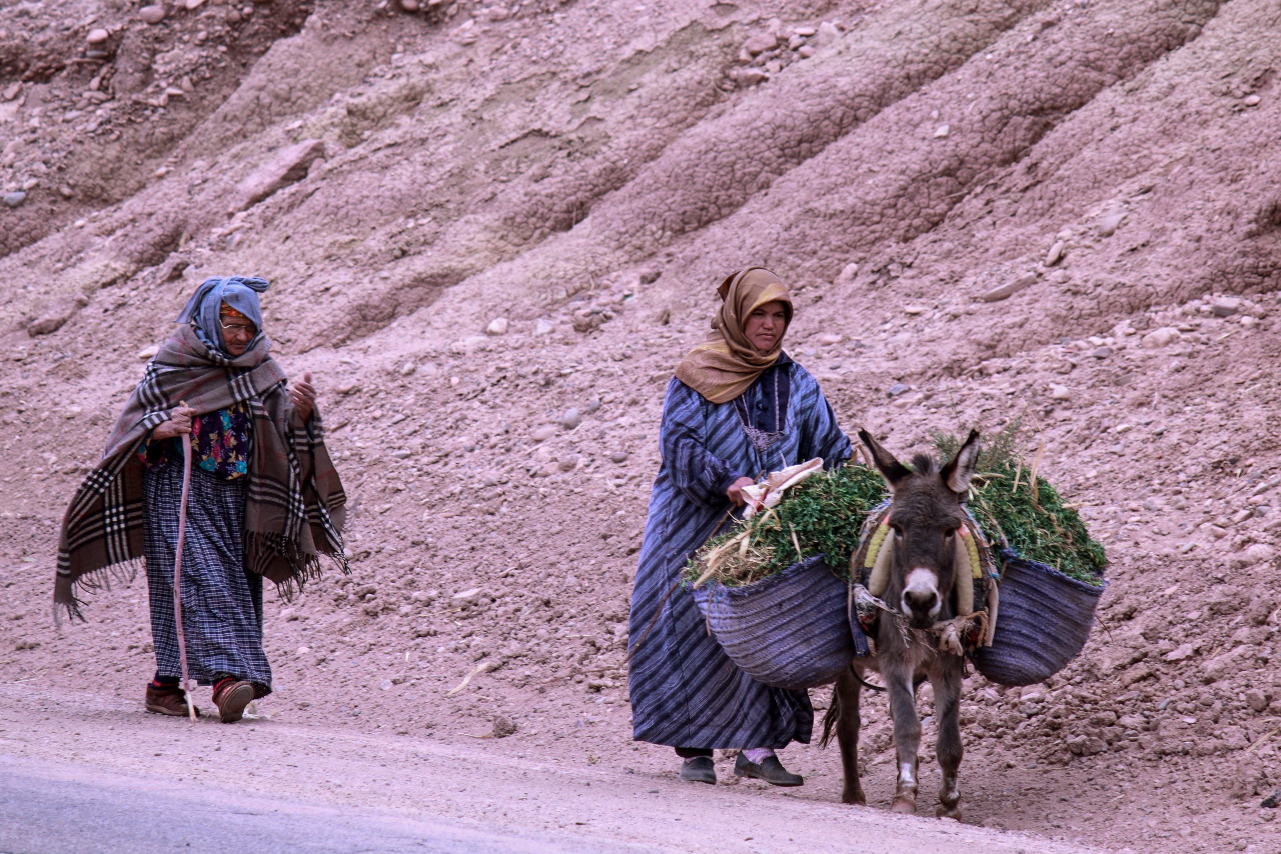 Quarzazte, Morocco, Africa