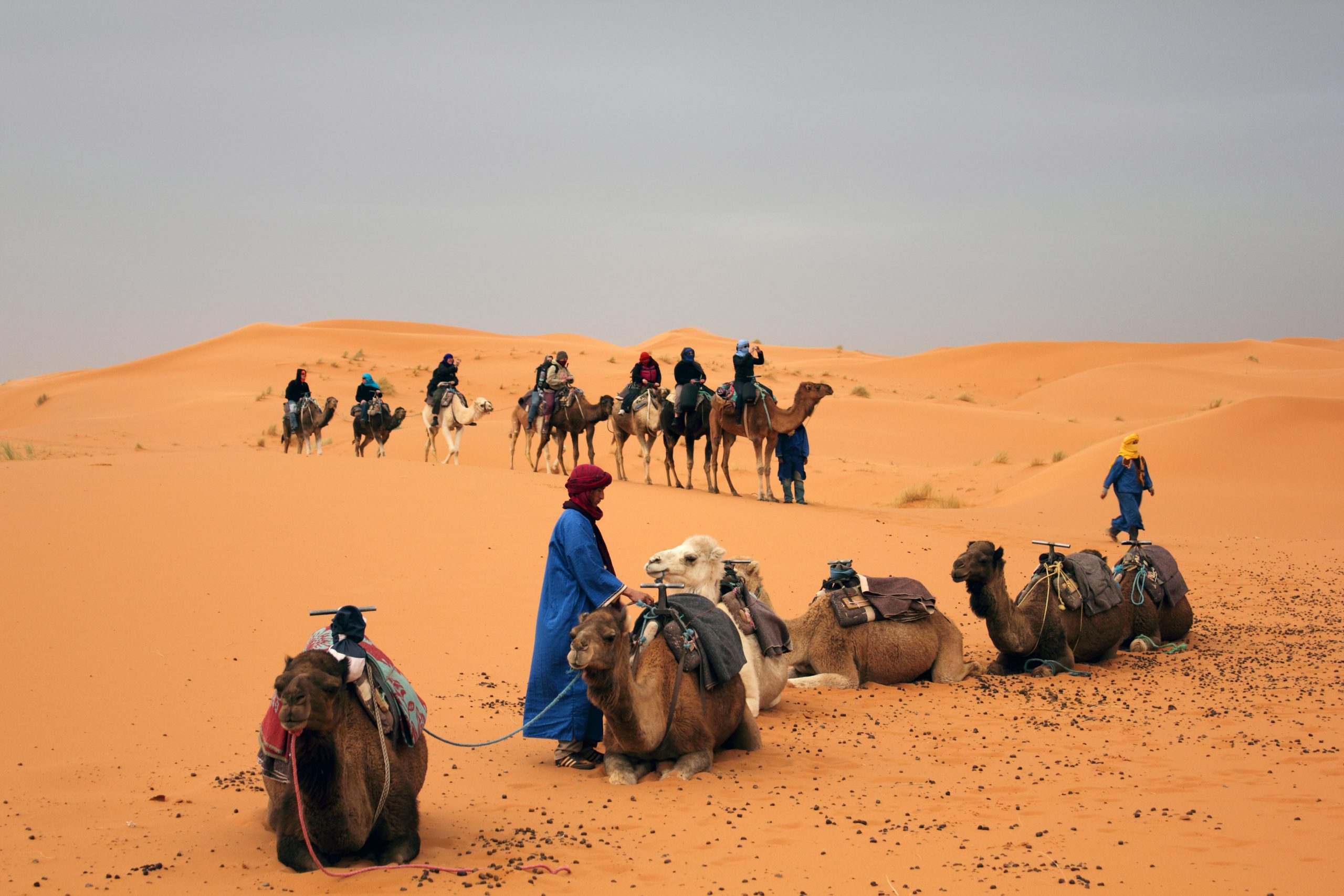 Western Sahara, Morocco, Africa