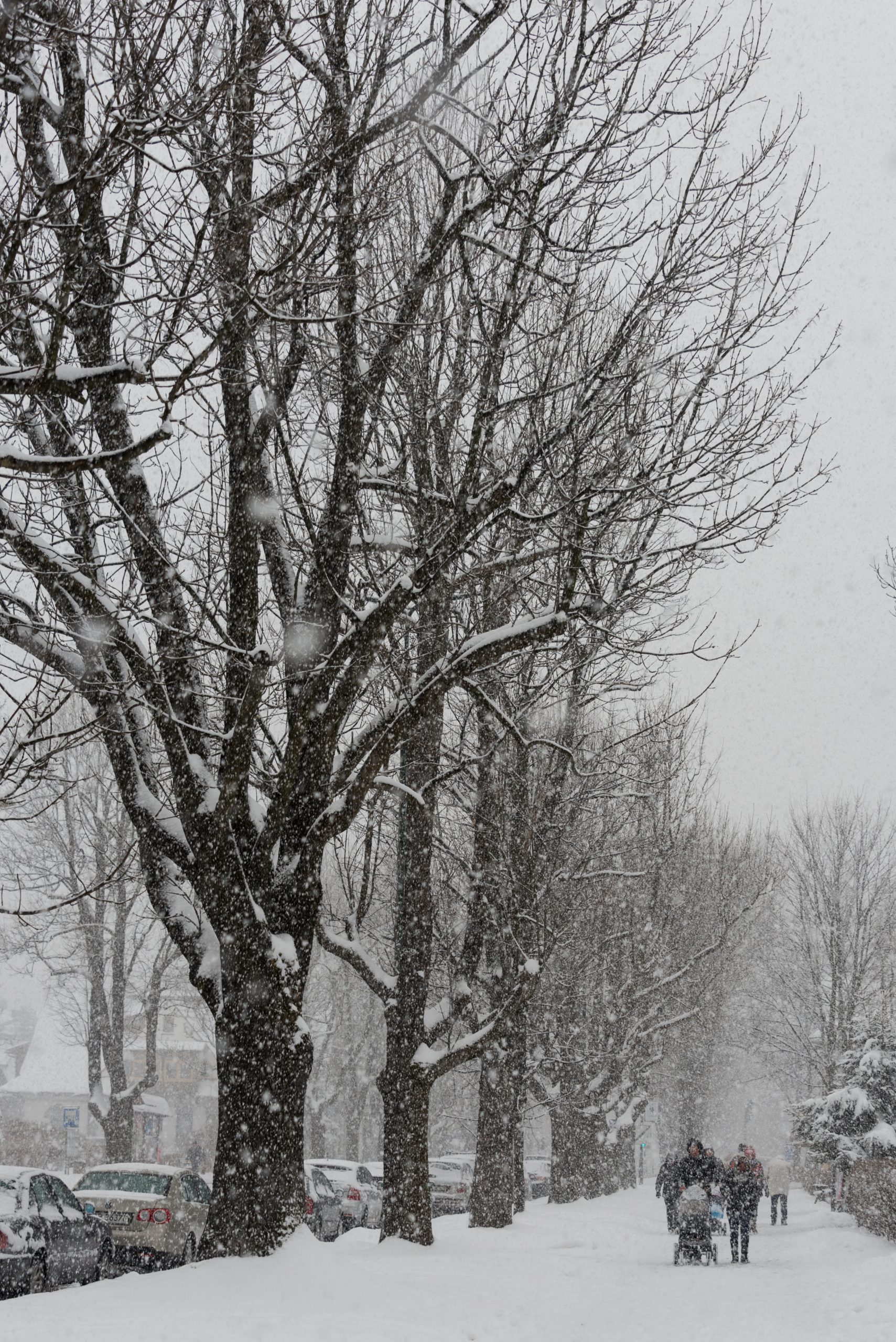 Zakopane, Poland, Europe
