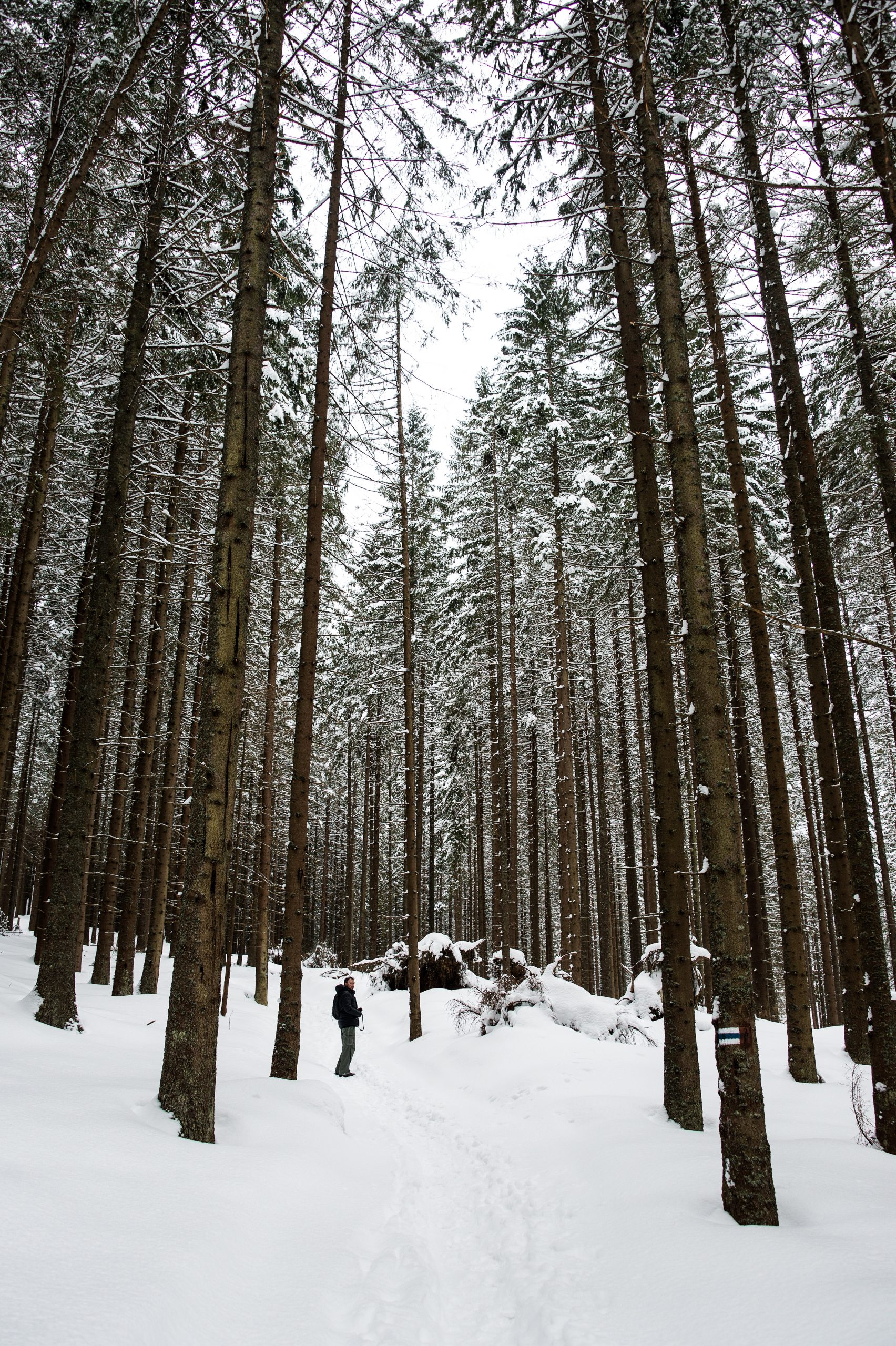 Zakopane, Poland, Europe