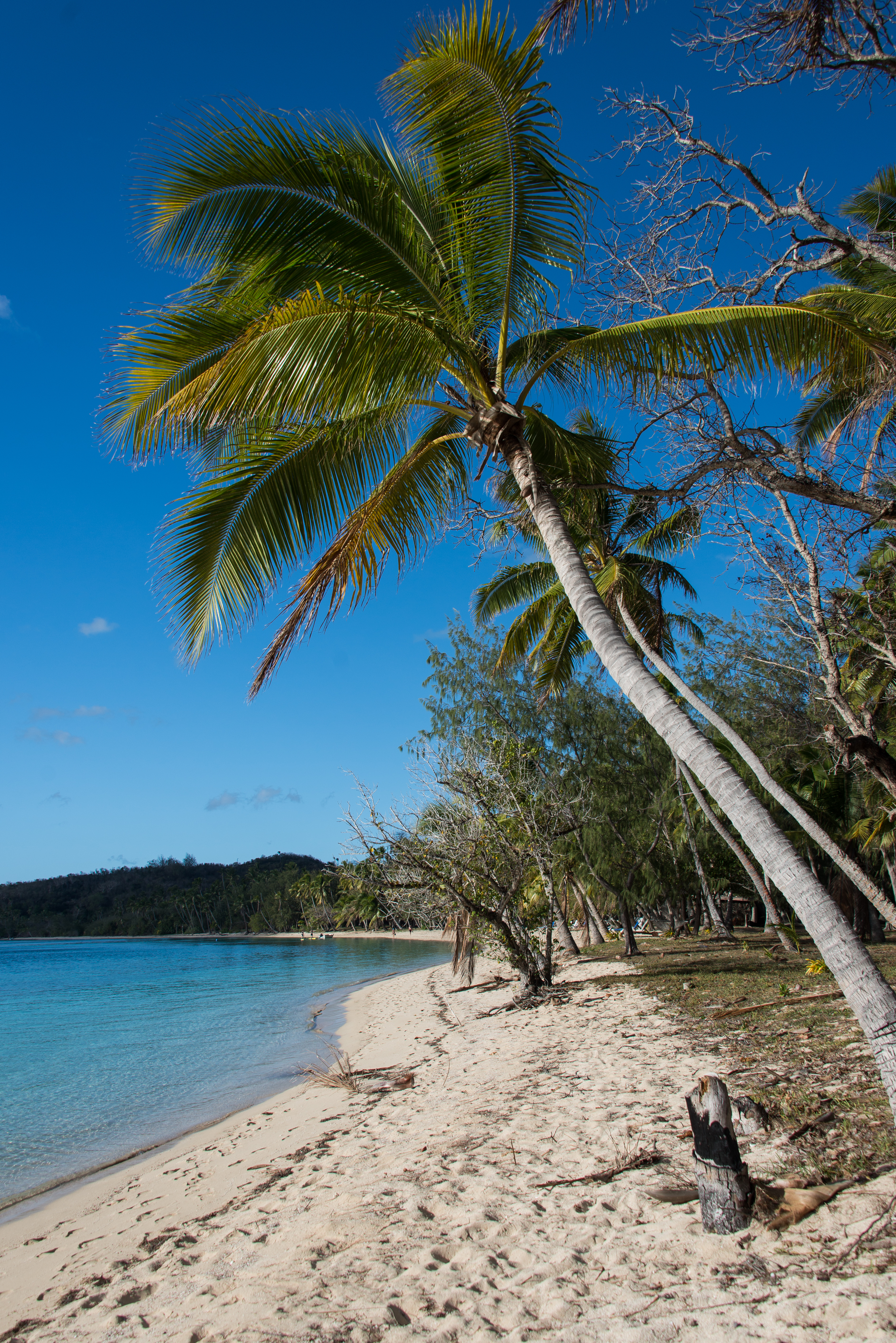 Nanuya Sewa, Fiji, Oceania