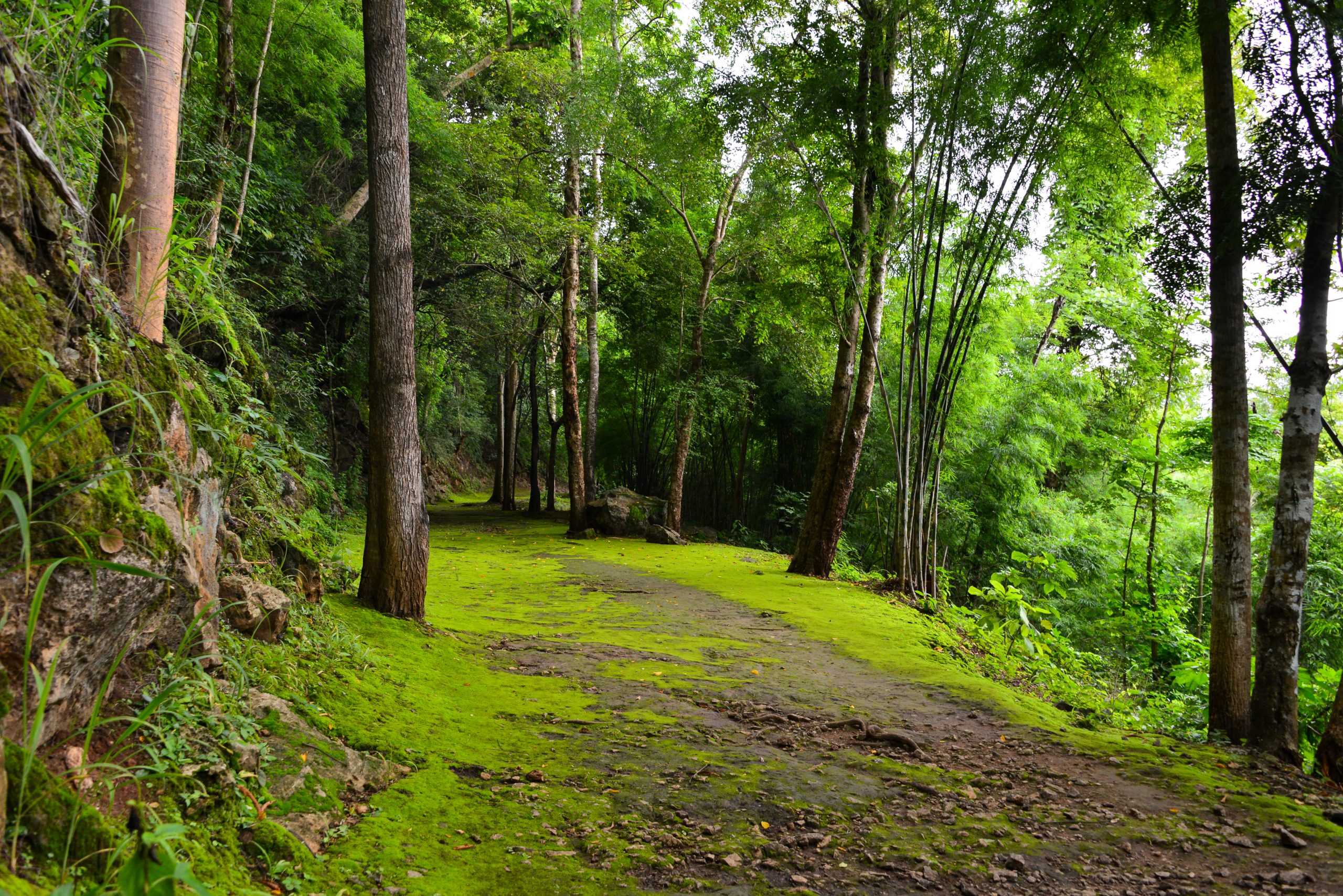 Death Railway, Kanchanaburi, Thailand, Asia