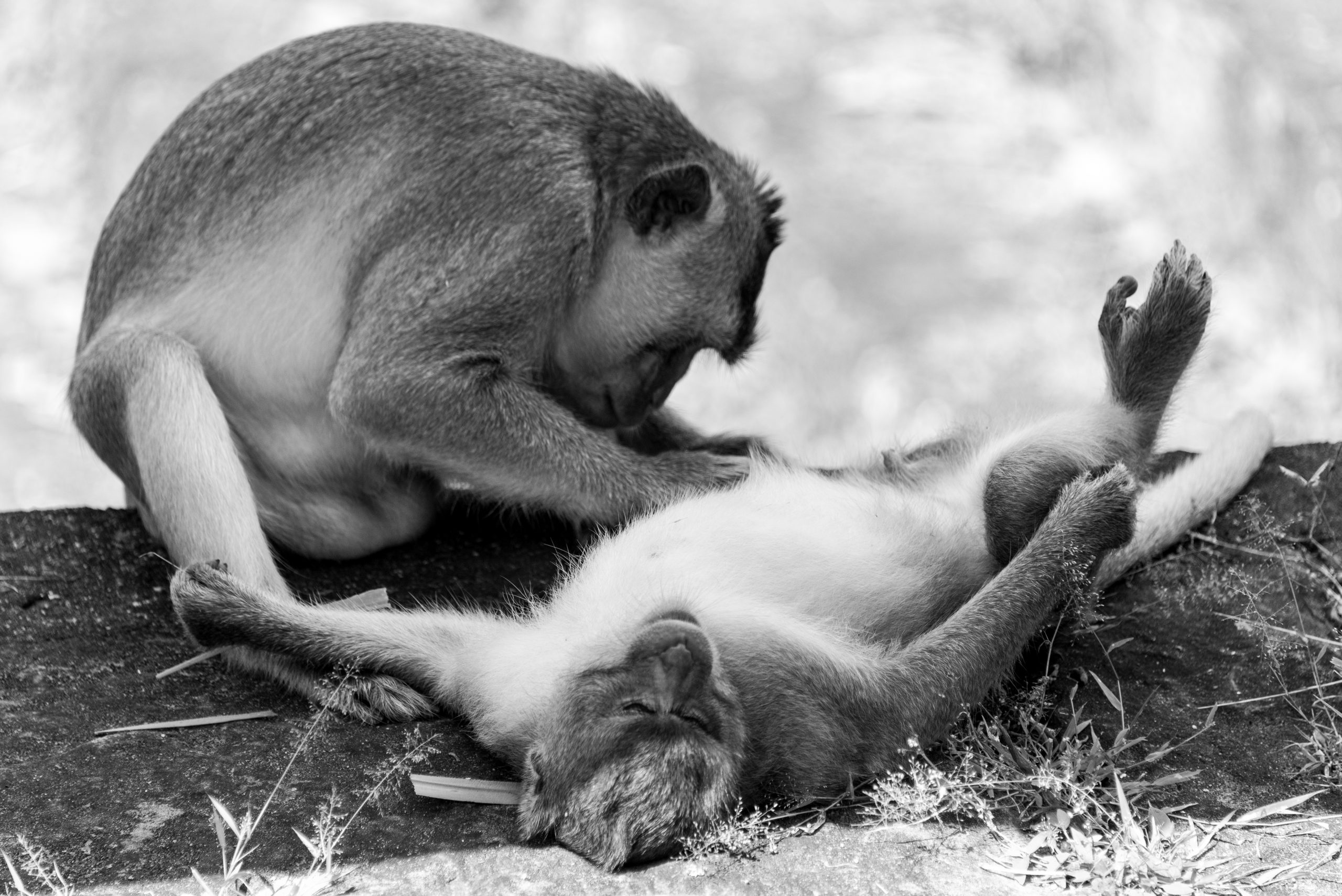 Angkor Wat, Siem Reap, Cambodia, Asia
