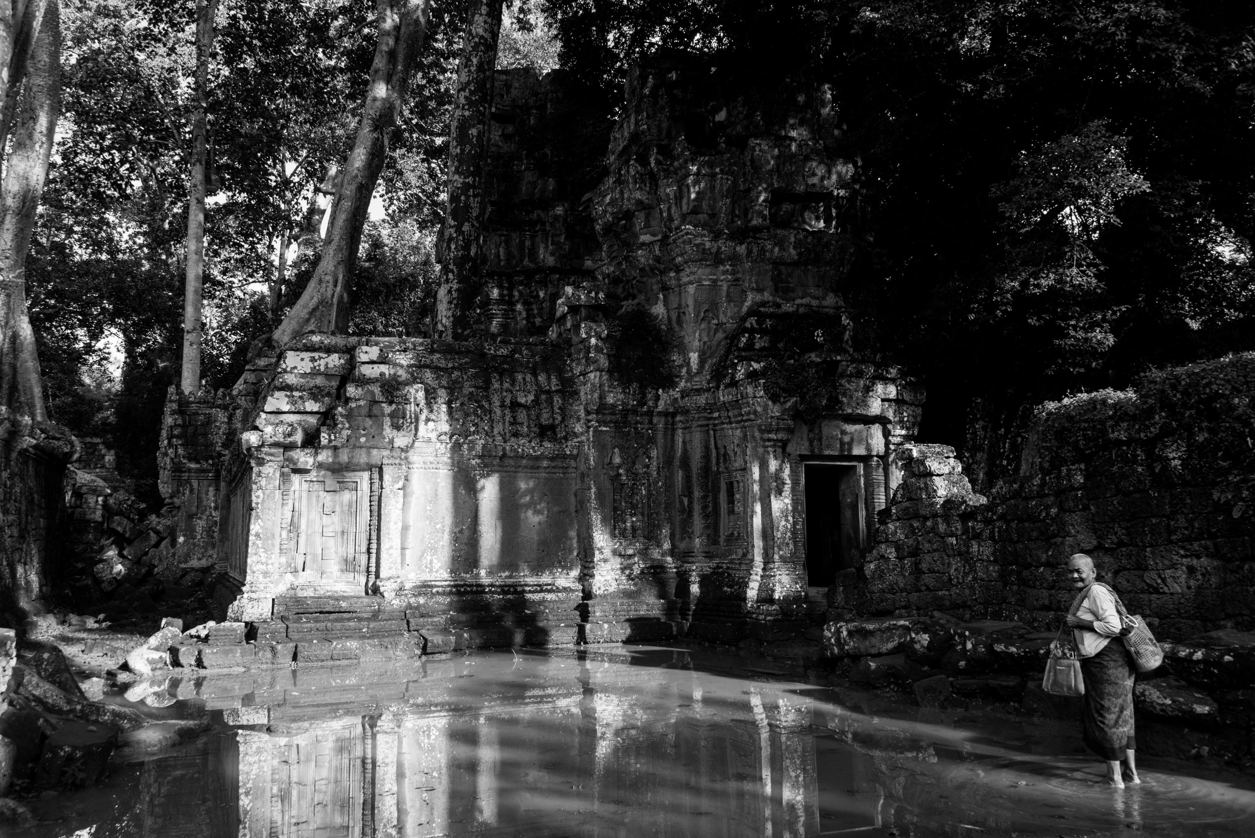 Ta Prom, Siem Reap, Cambodia, Asia