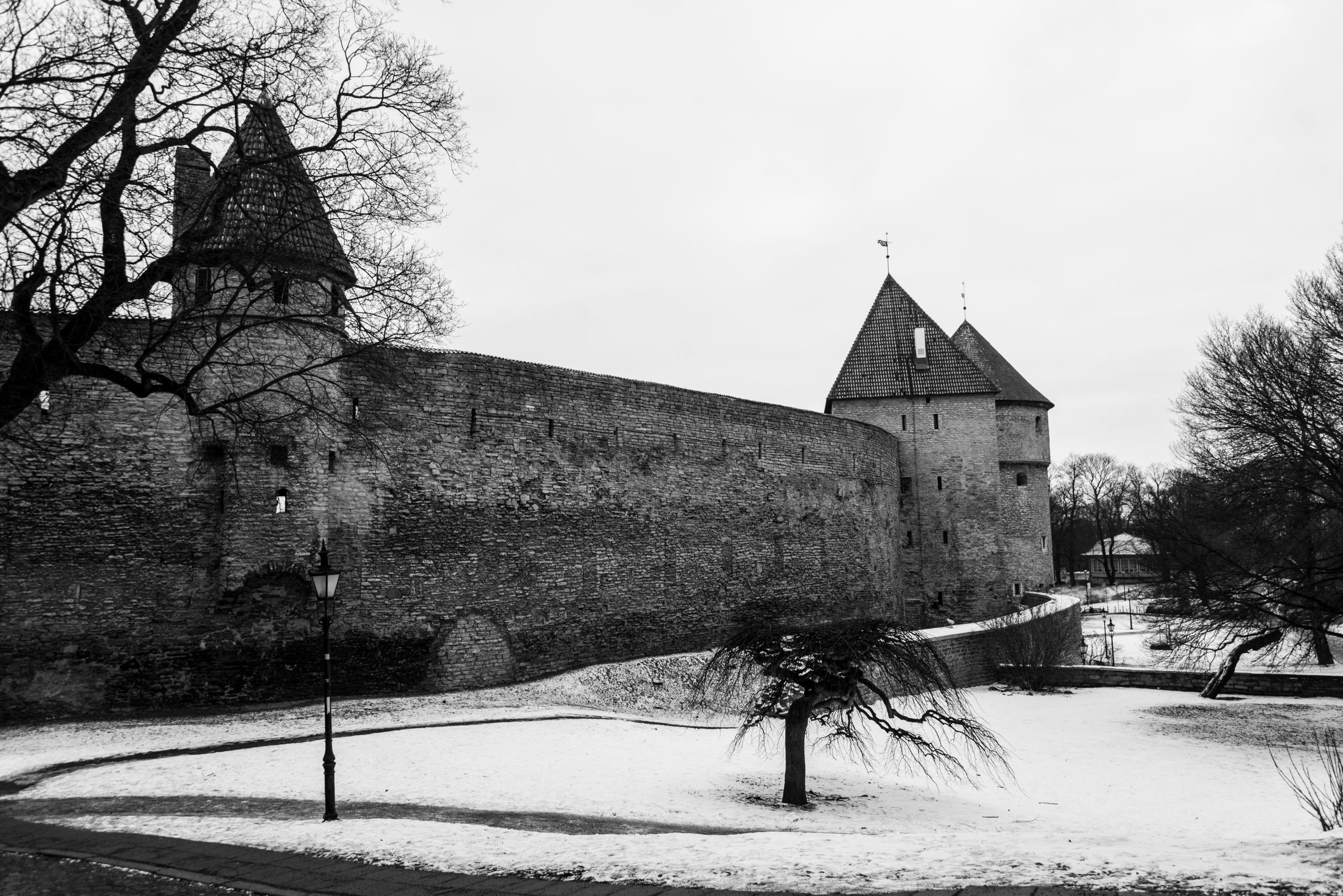 Tallinn, Estonia, Baltic States, Europe