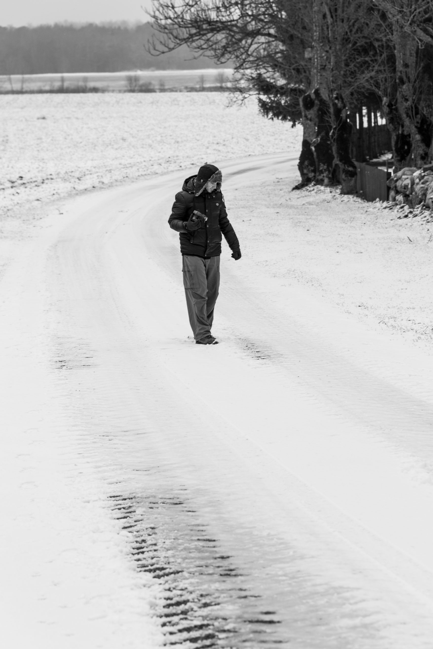 Angla, Saaremaa, Estonia, Baltic States, Europe