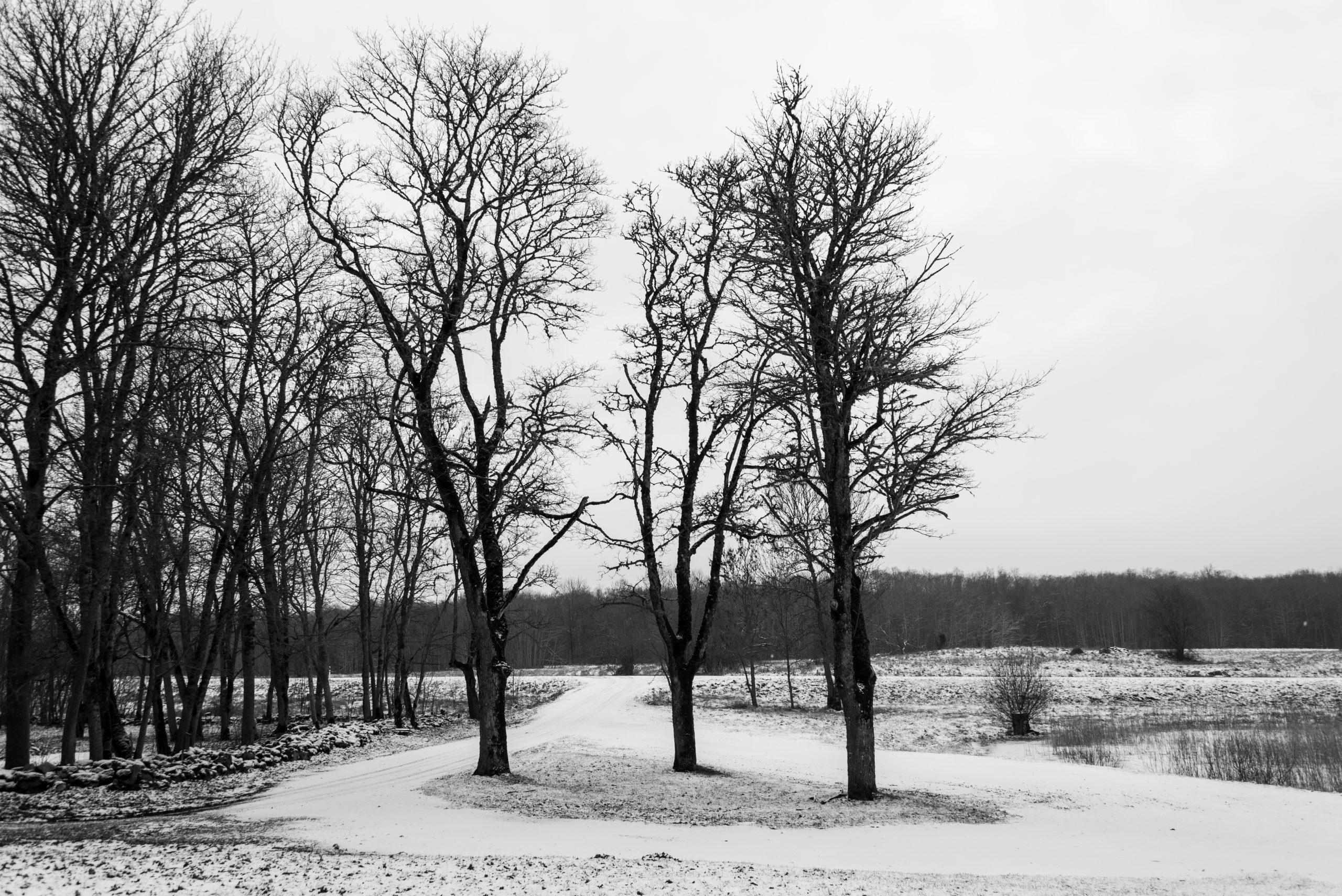 Linnaka Village, Karja, Saaremaa, Estonia, Baltic States, Europe