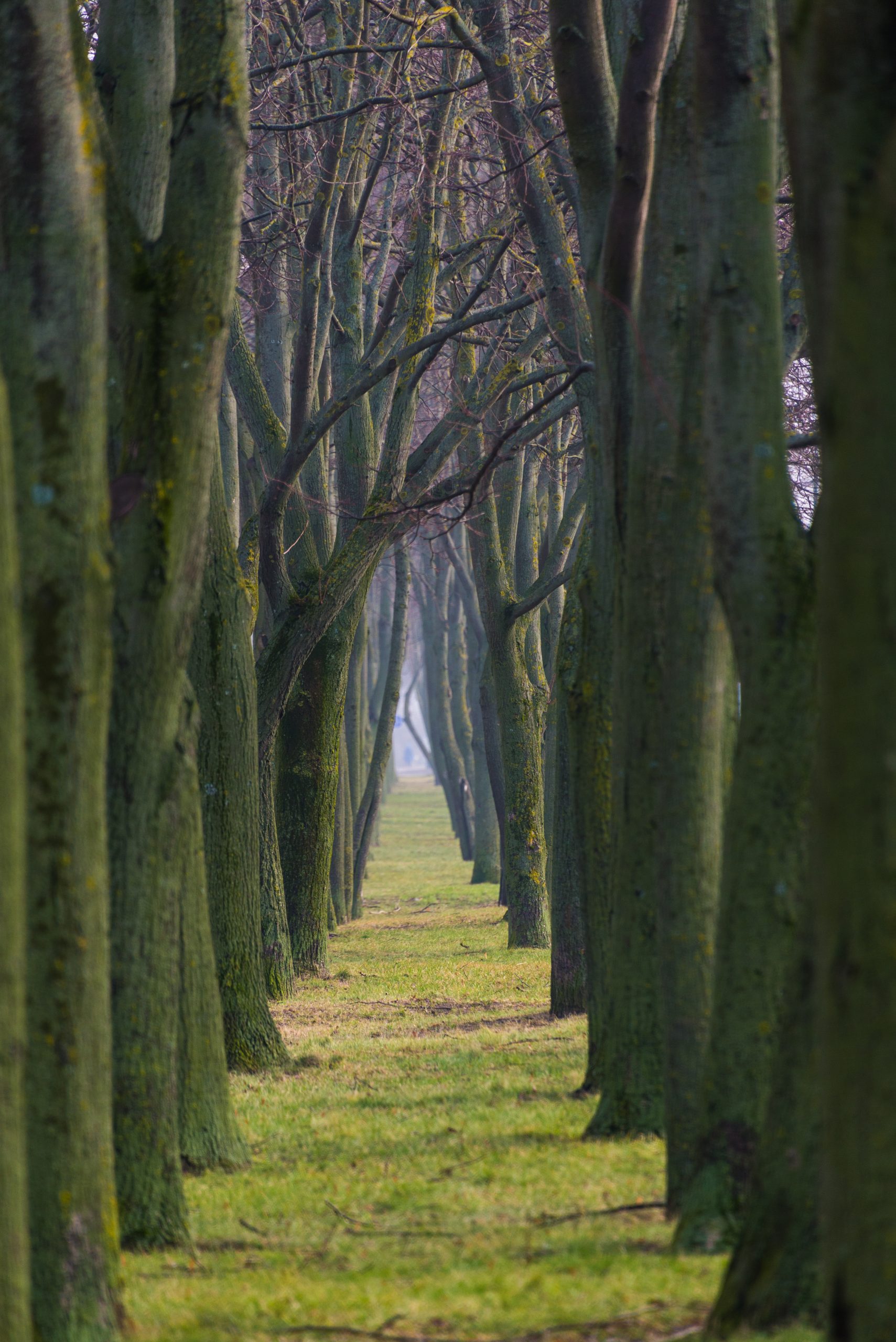 Klaipėda, Lithuania, Baltic States, Europe