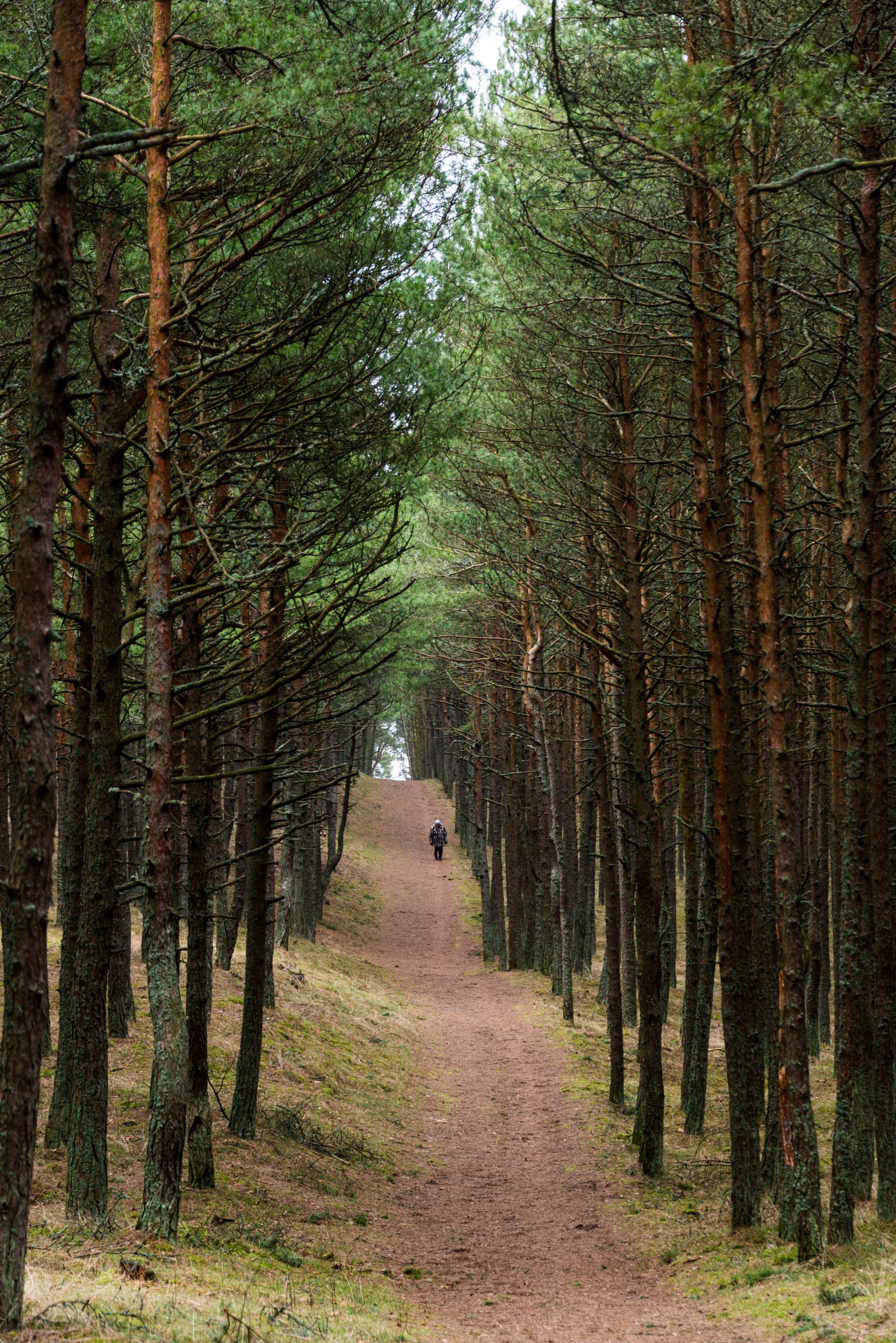 Curonian Spit, Lithuania, Baltic States, Europe