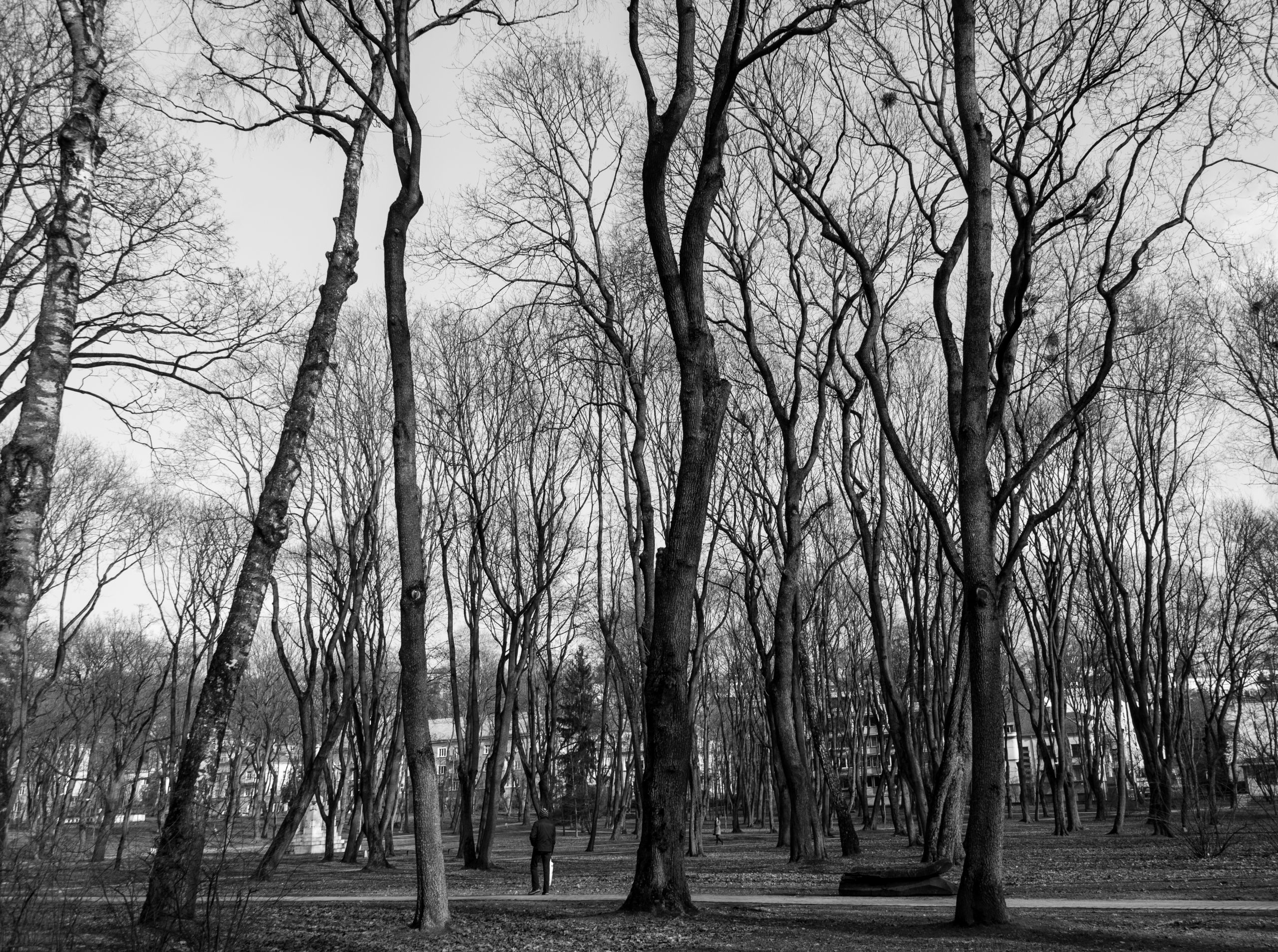 Kaunas, Lithuania, Baltic States, Europe