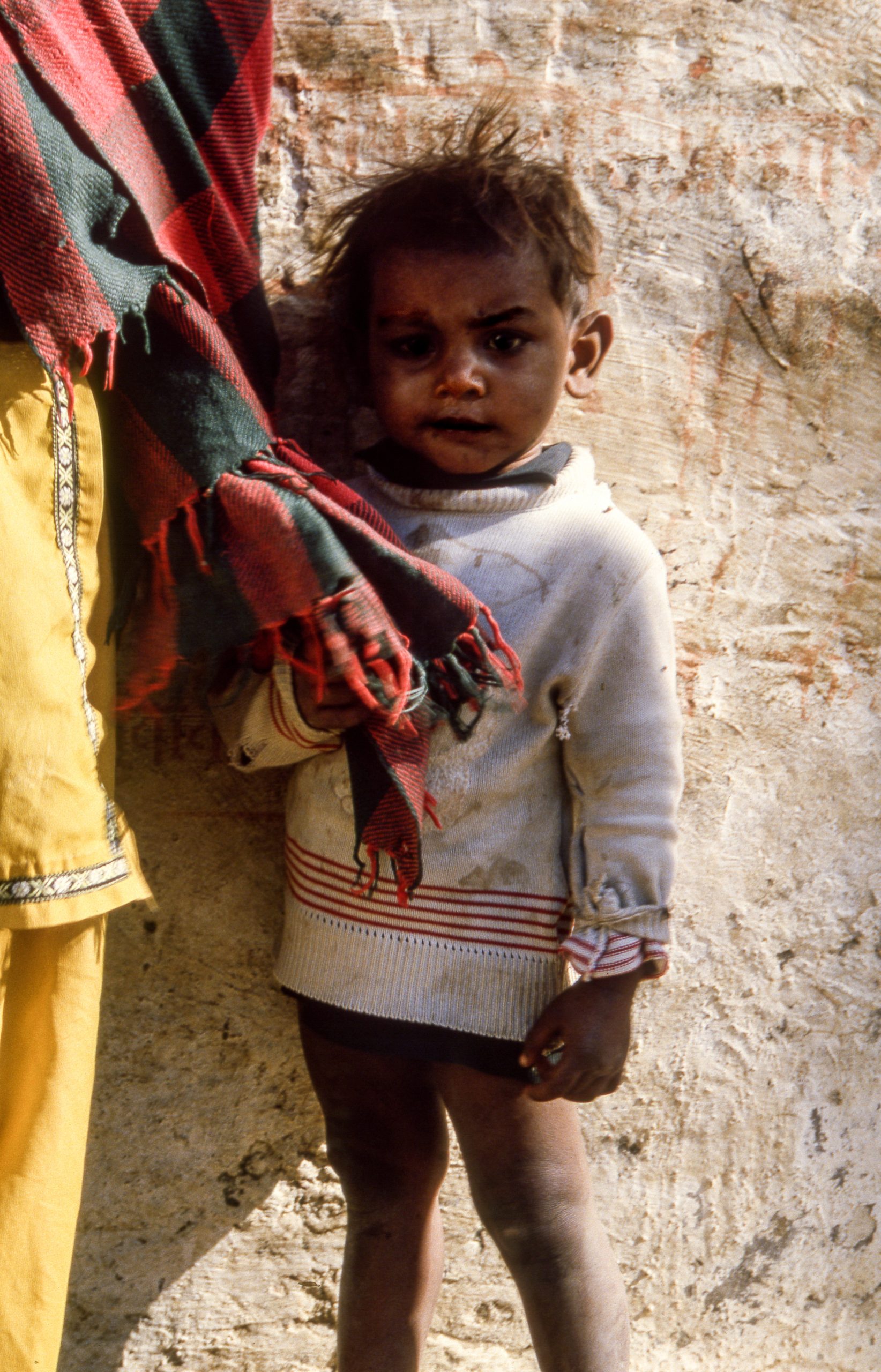 Agra, Rajasthan, India, Asia