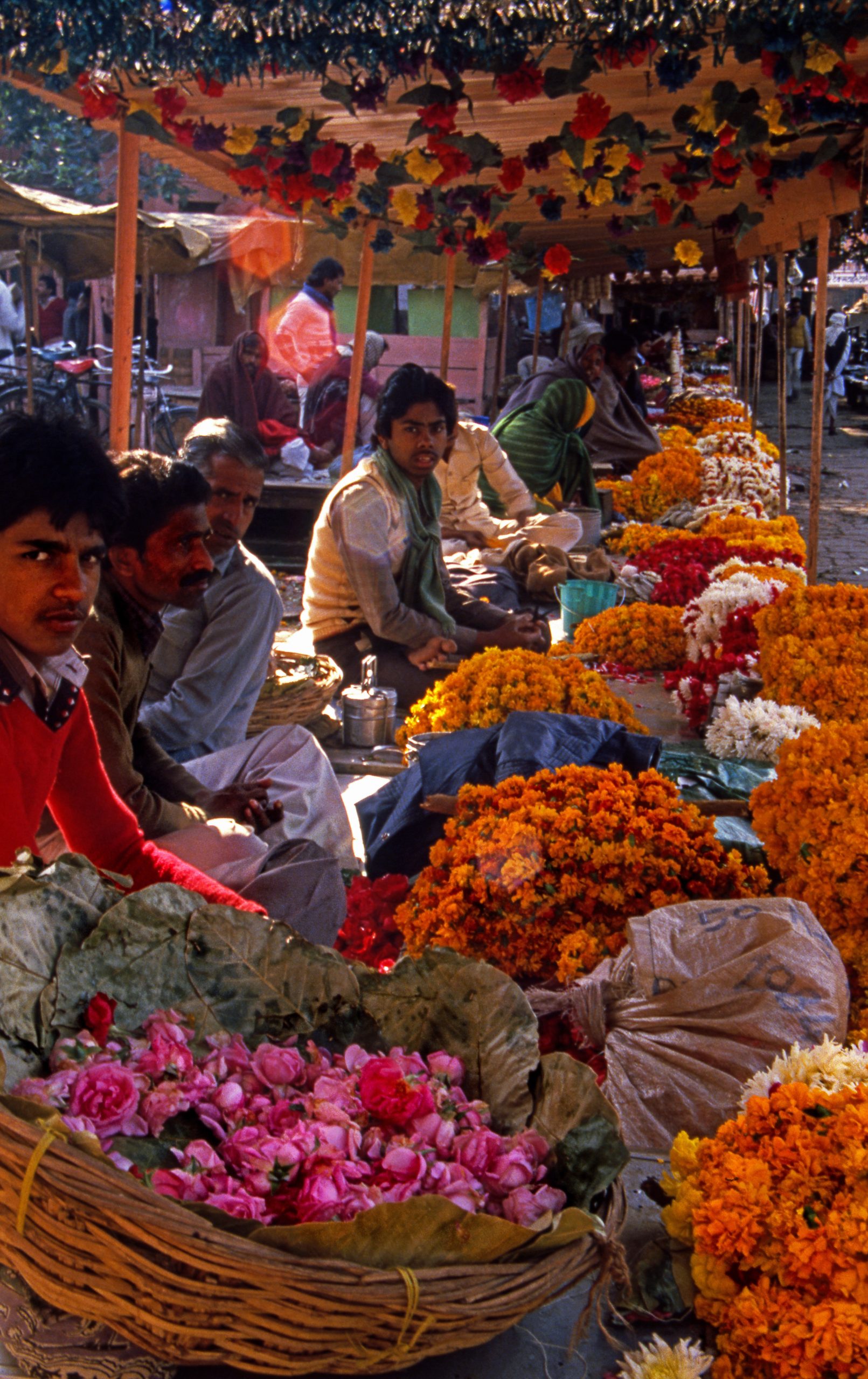 Flower Market, Jaipur, Rajasthan, India, Asia