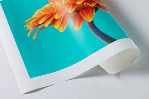 Hahnemühle Photo Glossy Hahnemühle Photo Glossy