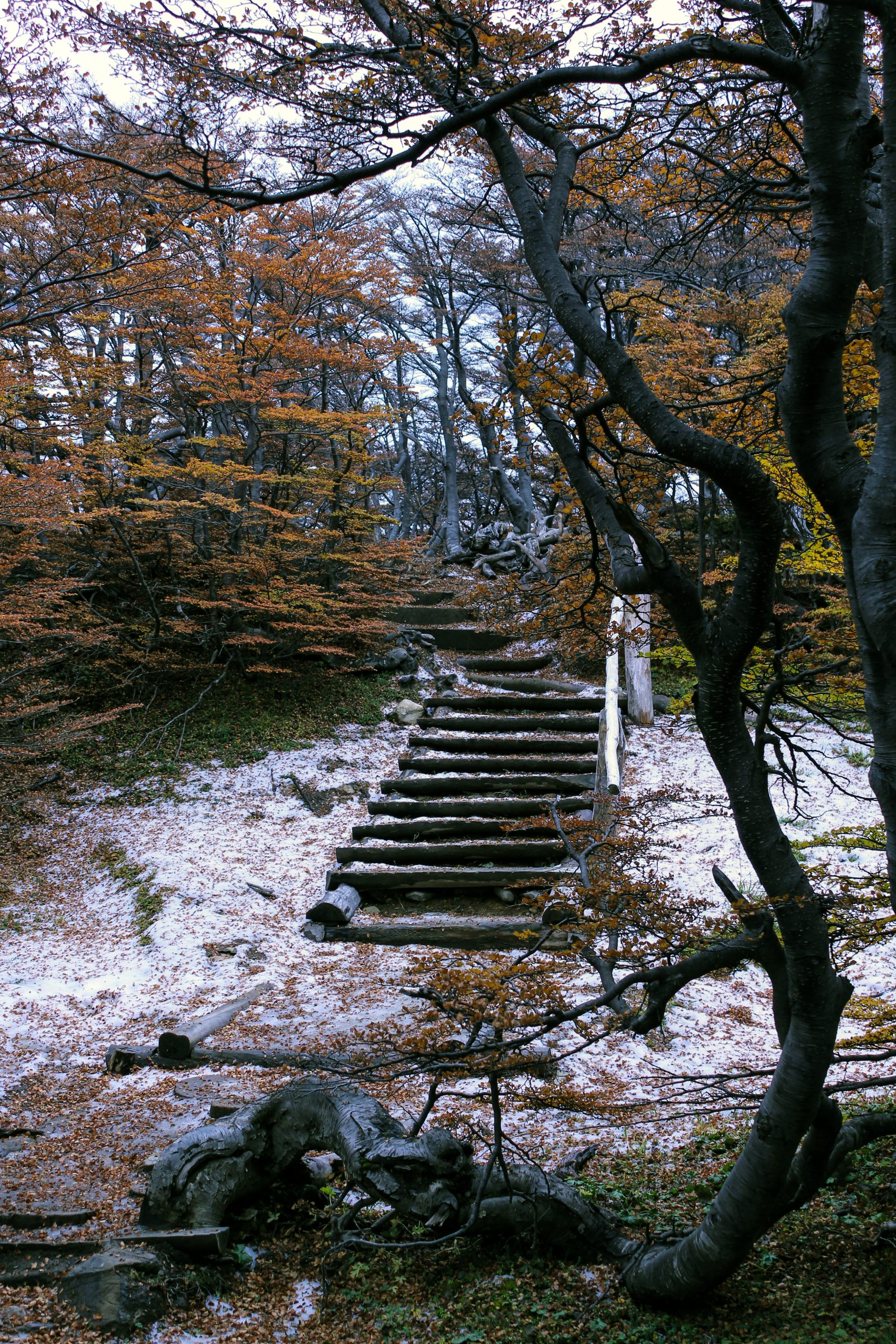 Martial Glacier, Ushuaia, Argentina, South America