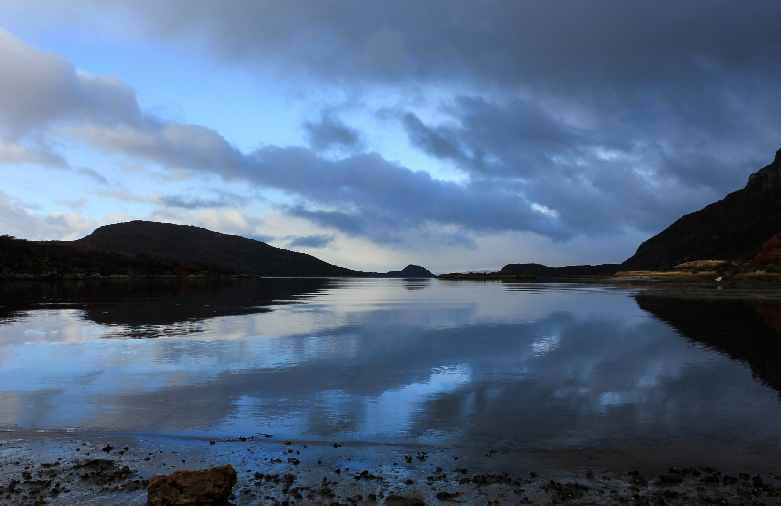 Tierra del Fuego National Park, Argentina, South America