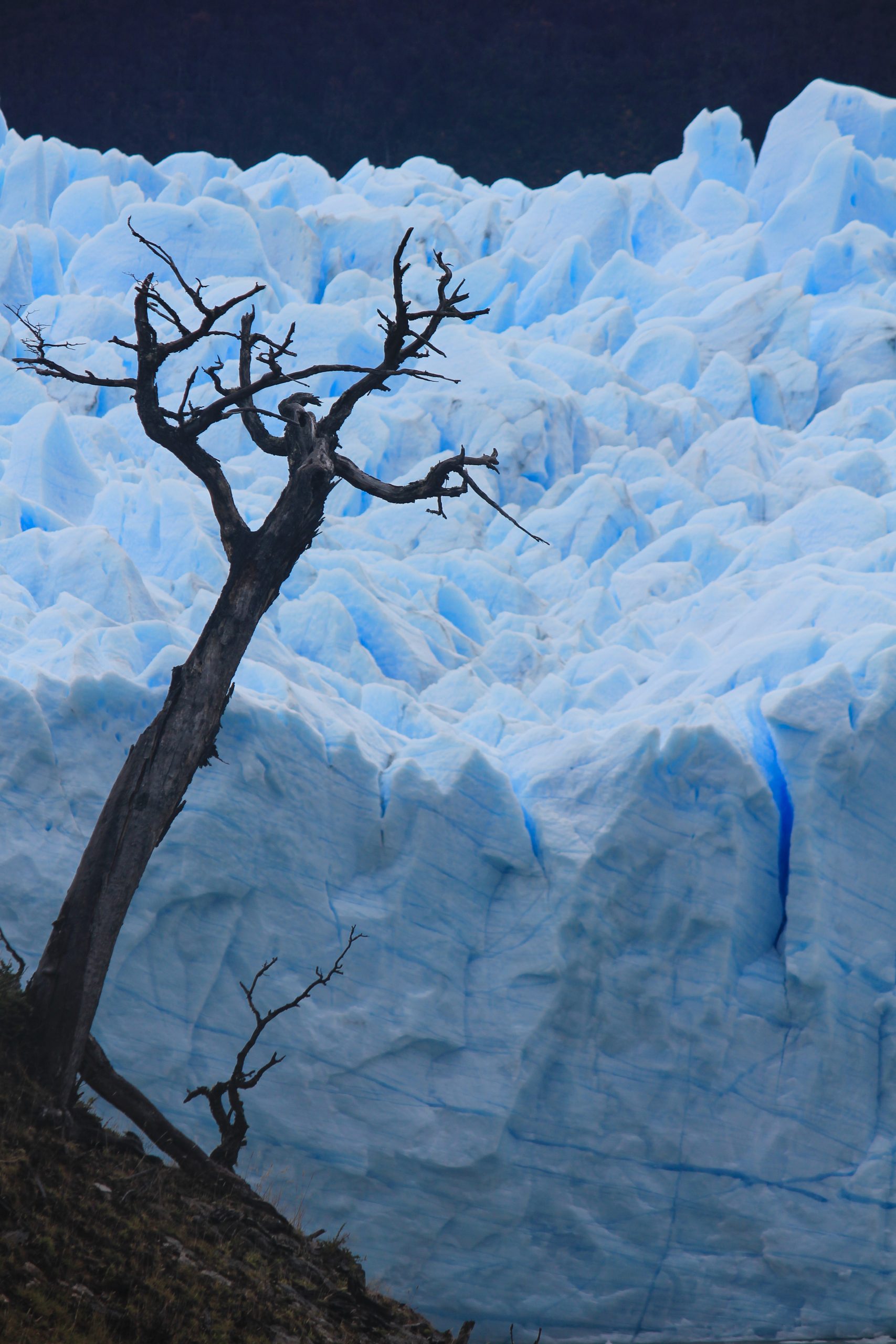 Perito Moreno Glacier, Los Glaciares National Park, Argentina, South America