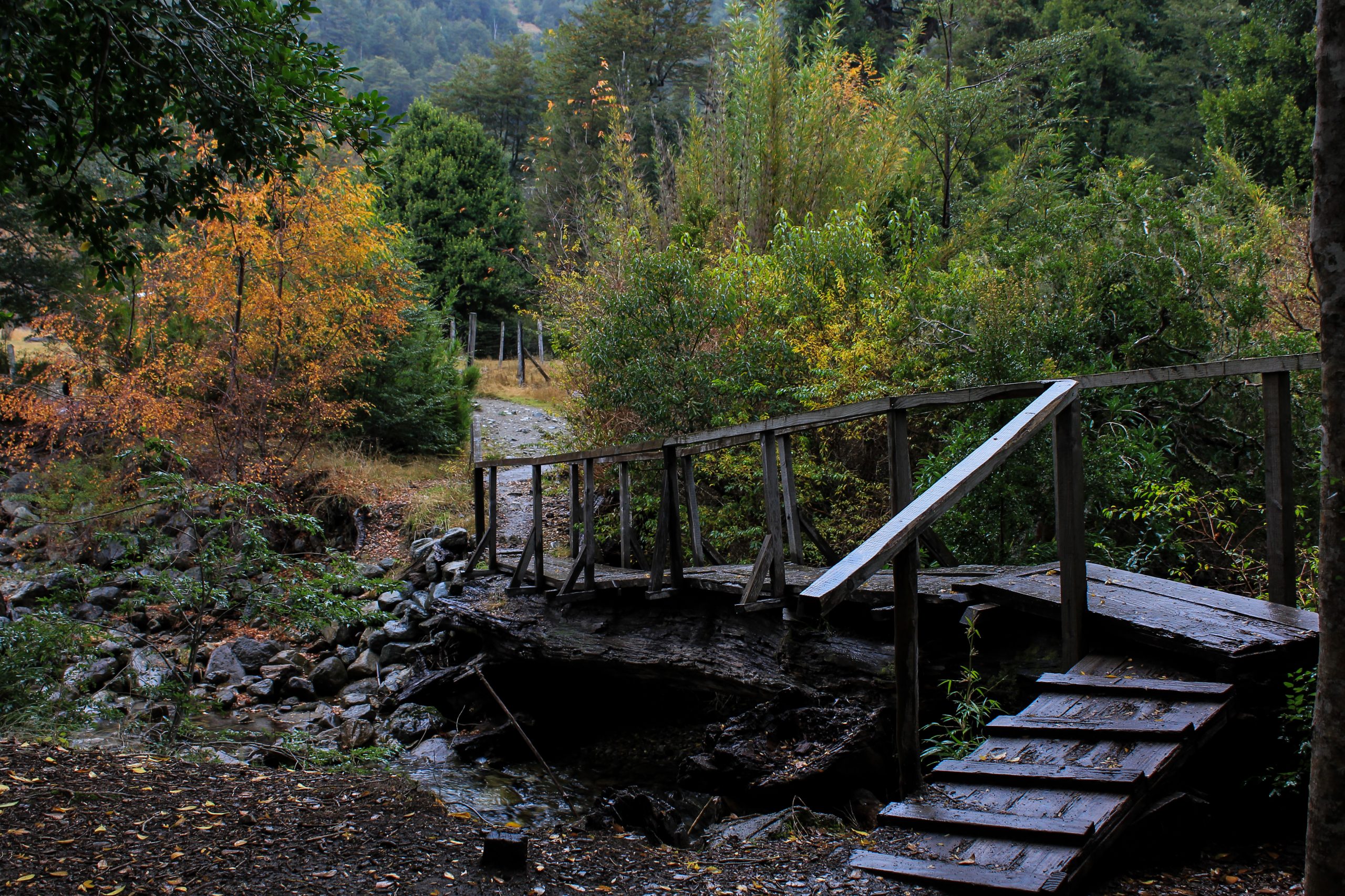 Torres del Paine National Park, Chile, South America