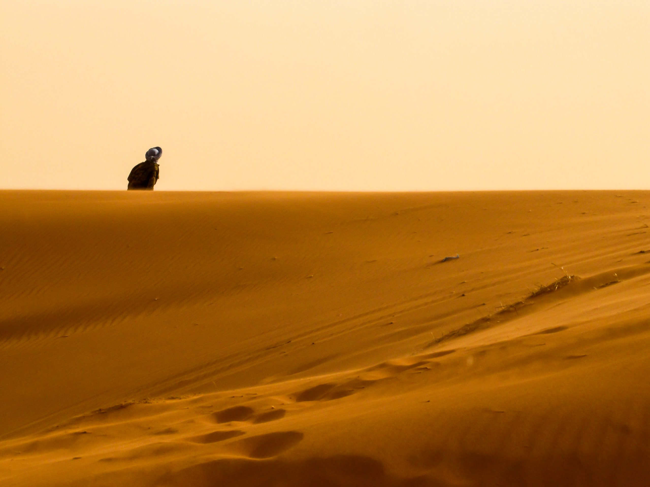 Western Sahara, Morocco, Africa