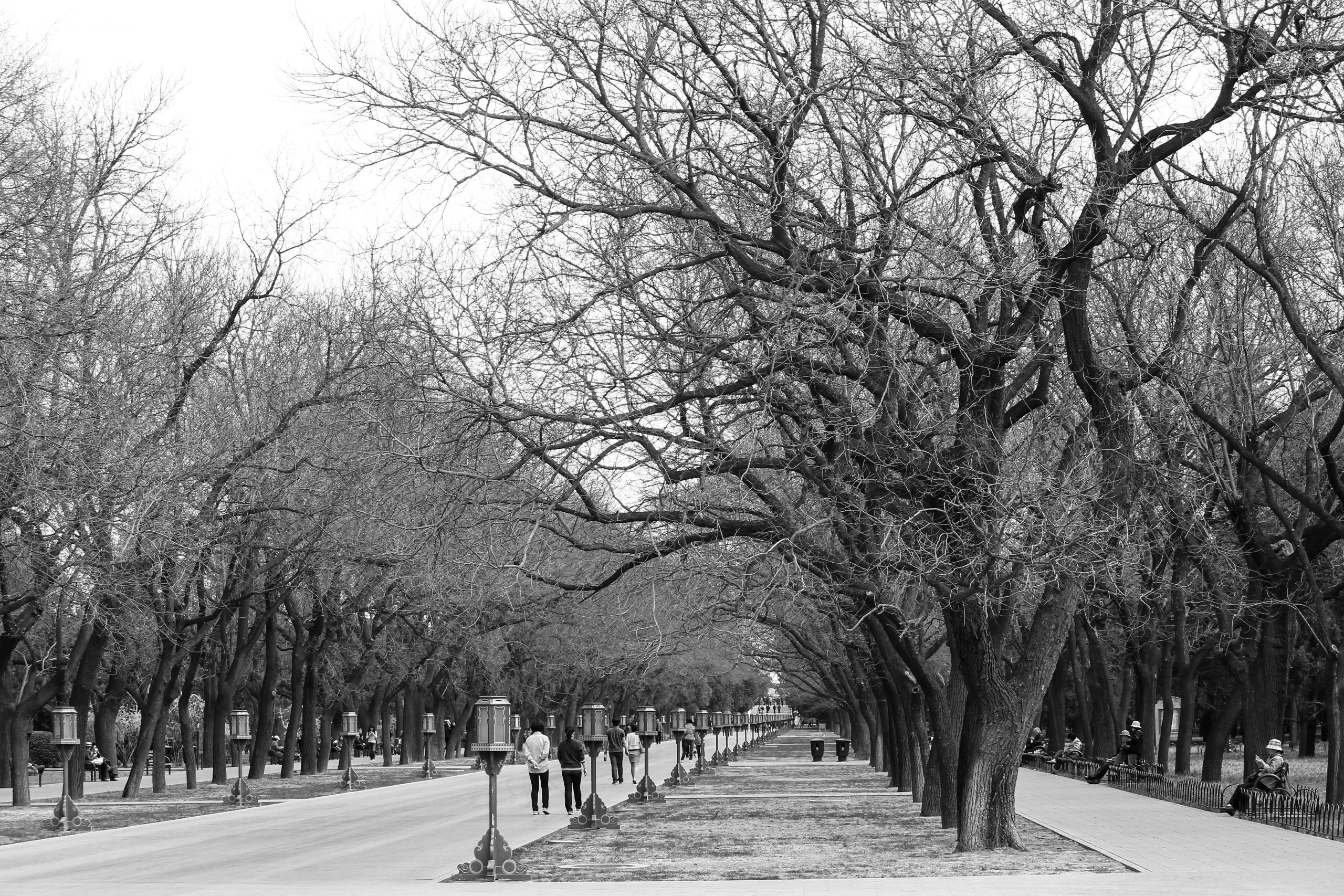 Temple of Heaven, Beijing, China, Asia