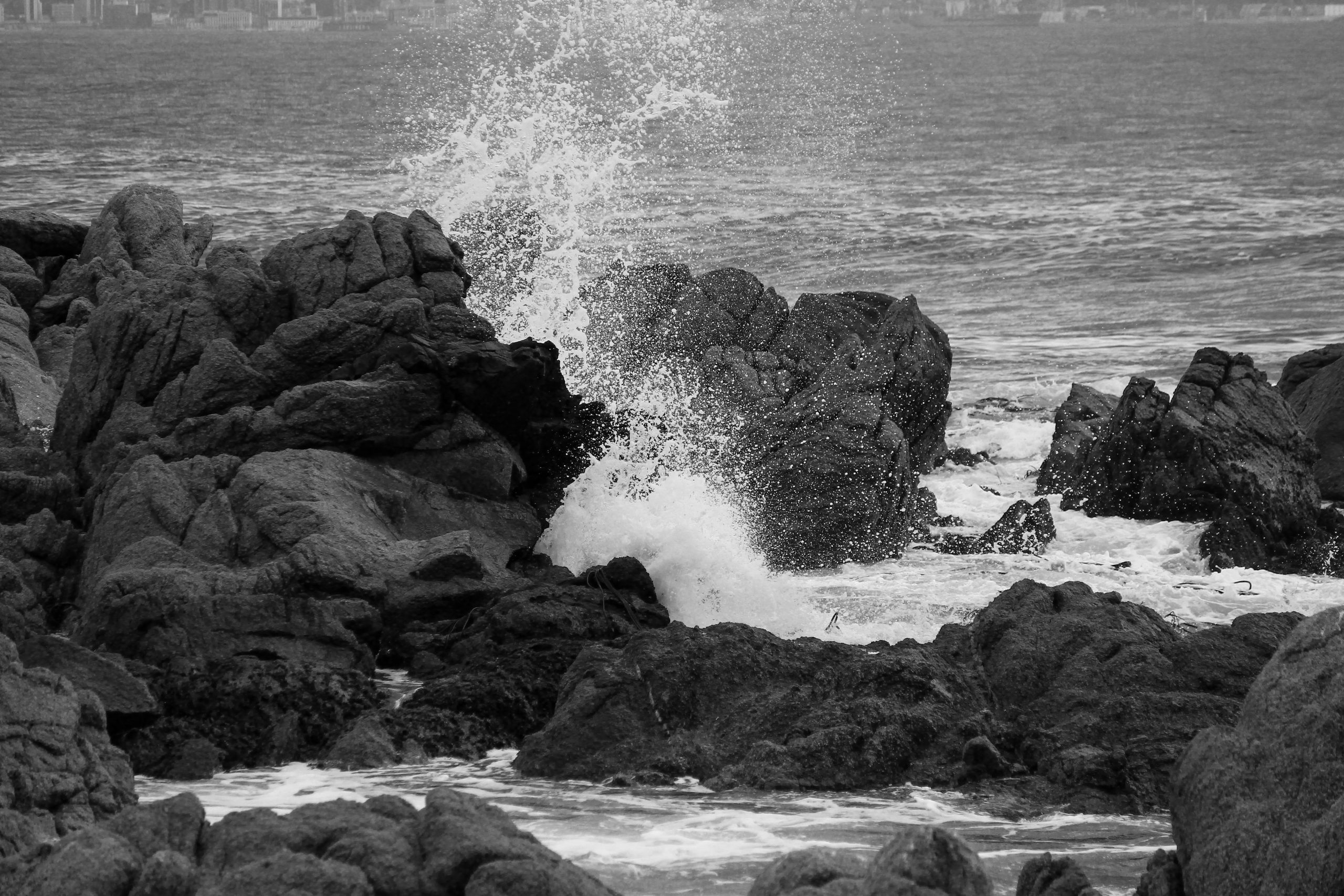 Viña del Mar, Chile, South America