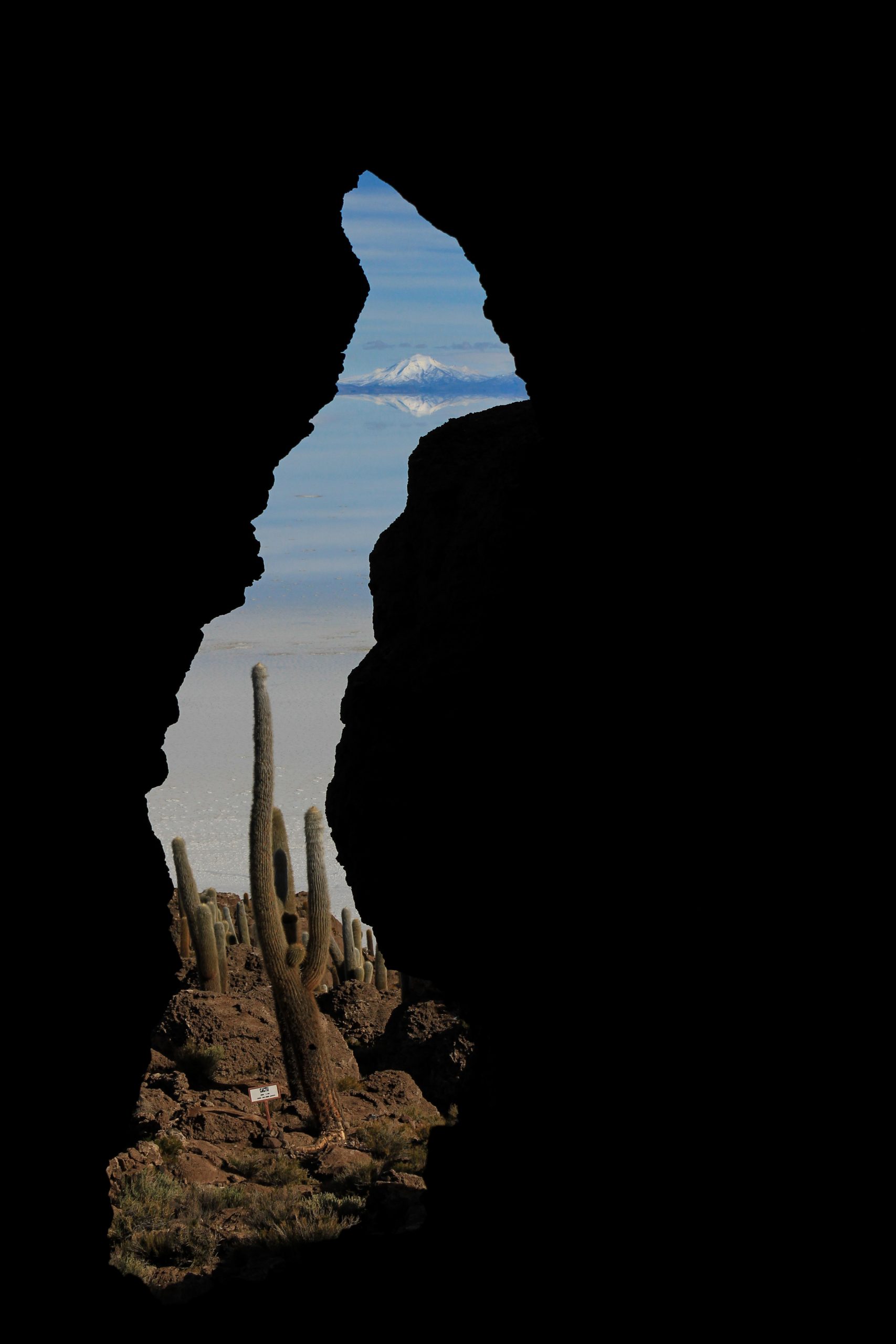 Cactus Island, Salar de Uyuni, Bolivia, South America