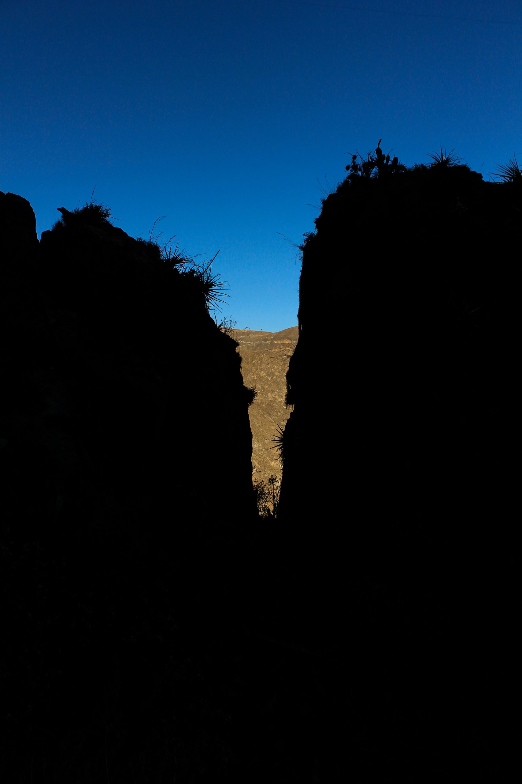 Colca Canyon, Peru, South America