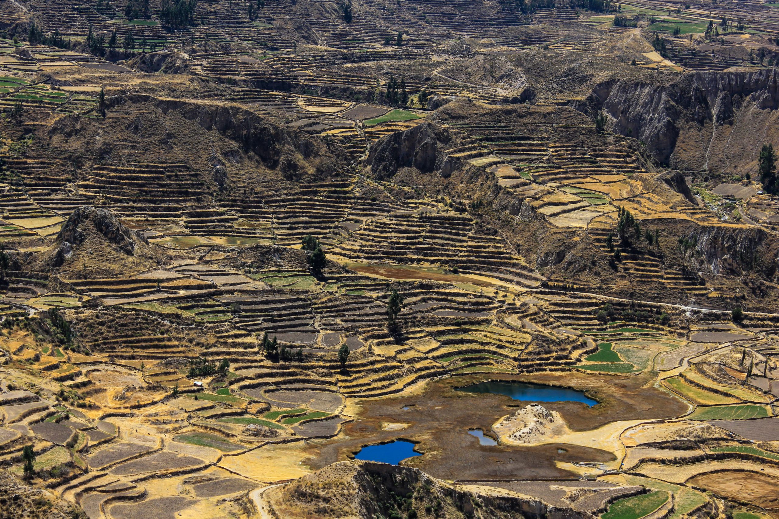 Colca Valley, Peru, South America