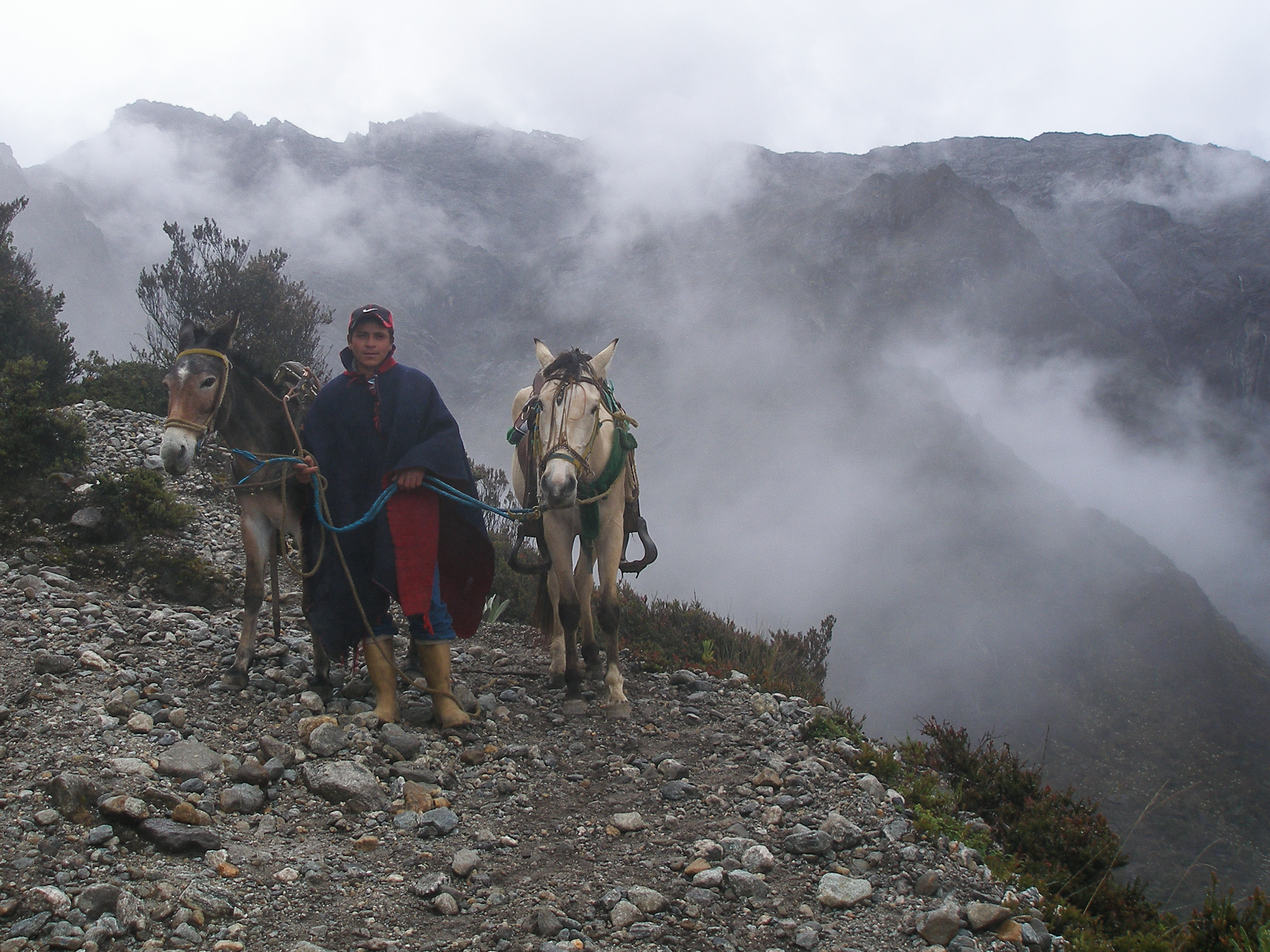 Sierra Nevada, Venezuela, South America