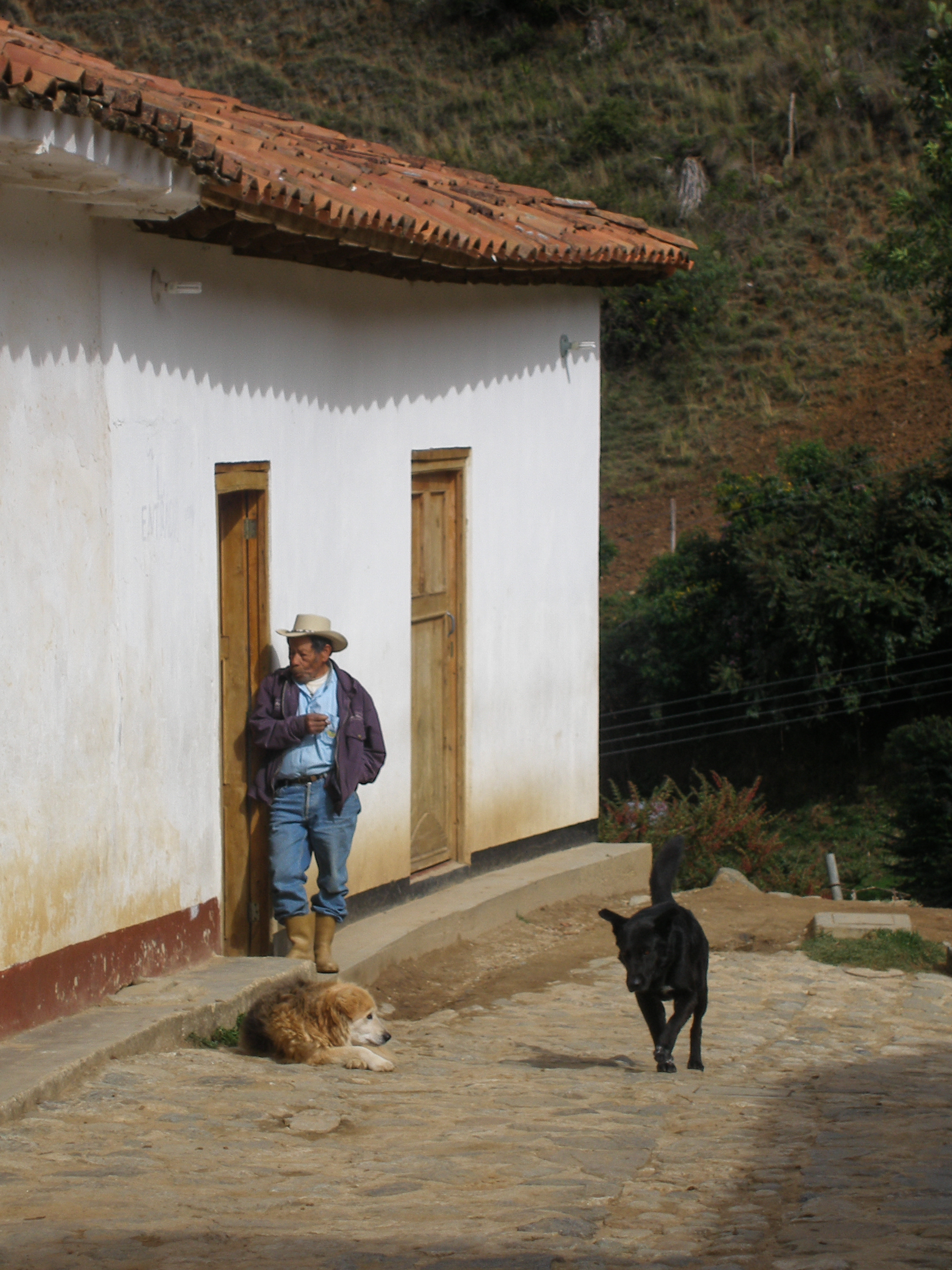 Los Nevados, Sierra Nevada, Venezuela, South America