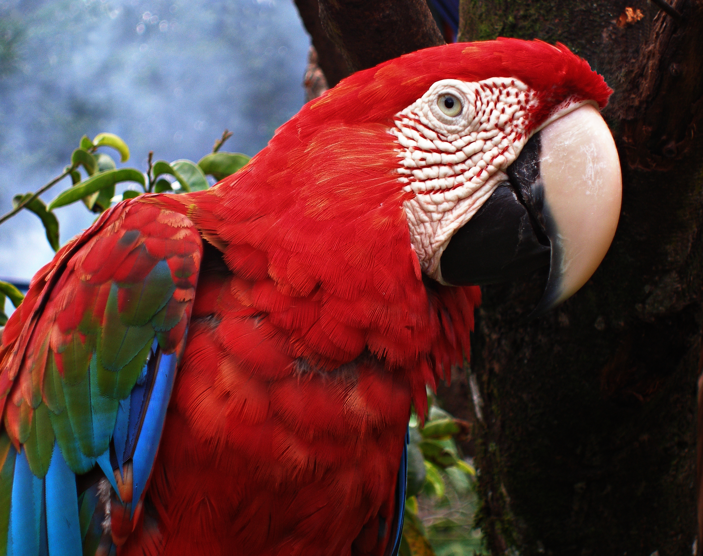 Canaima, Venezuela, South America