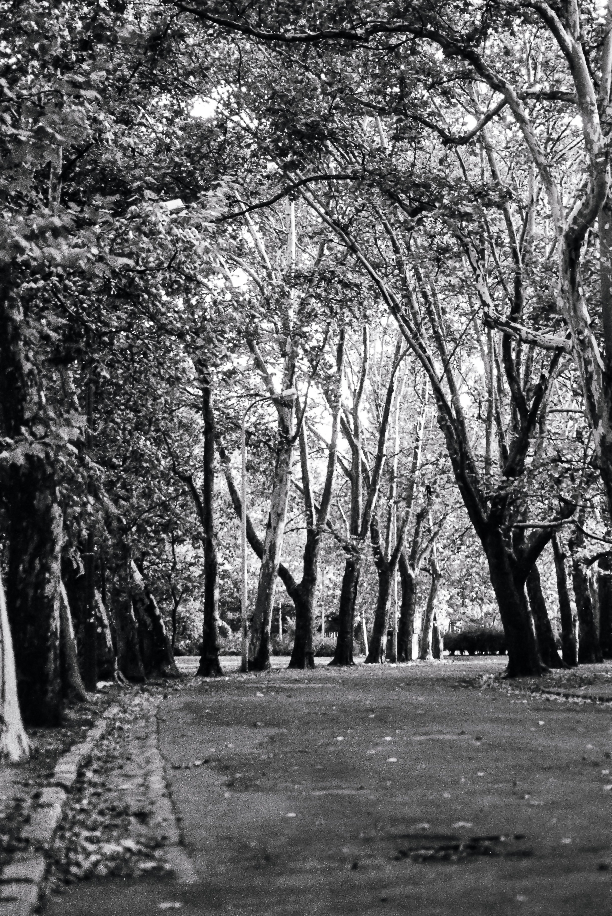 Budapest, Hungary, Europe