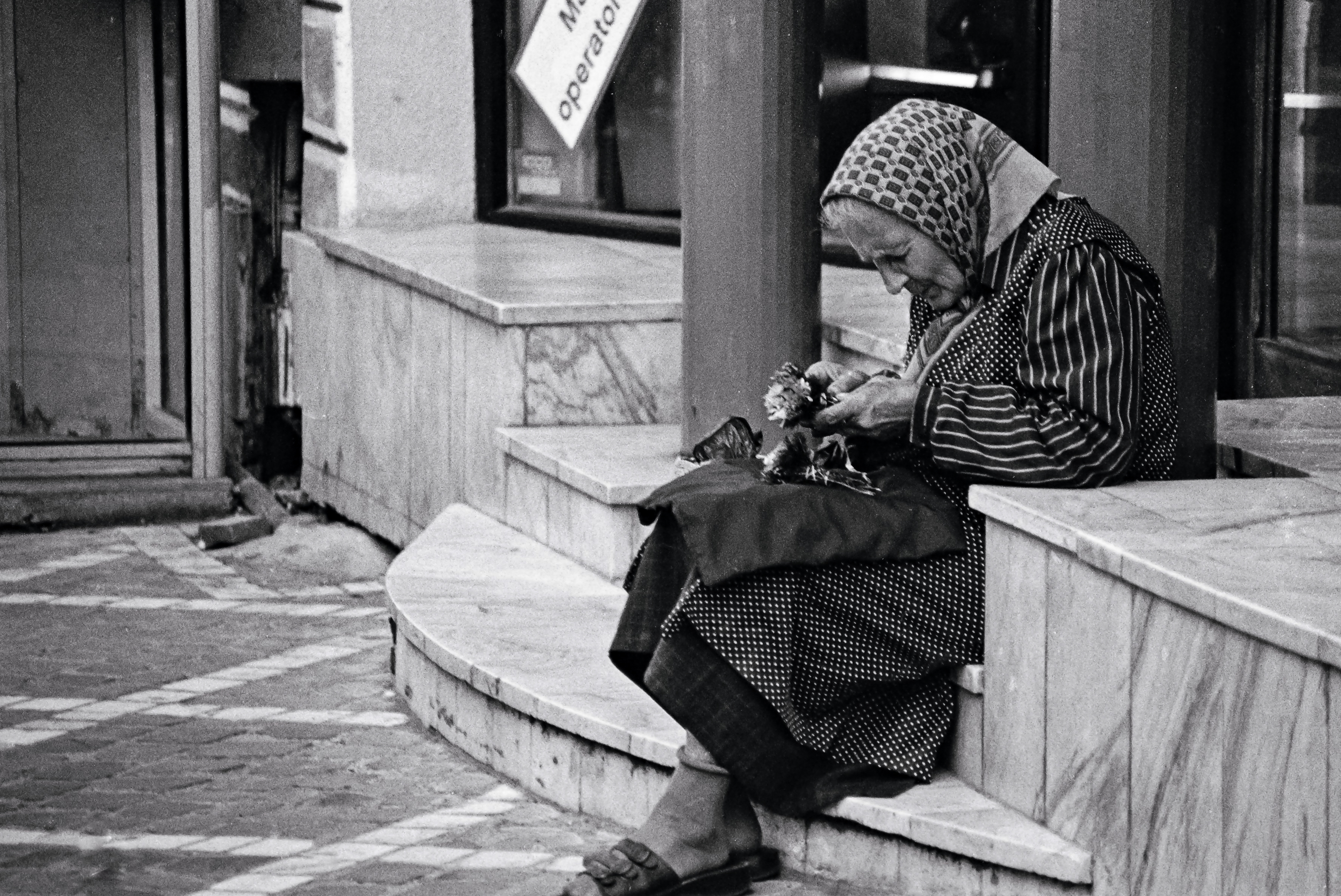 Romany Flower Seller, Braşov, Romania, Europe